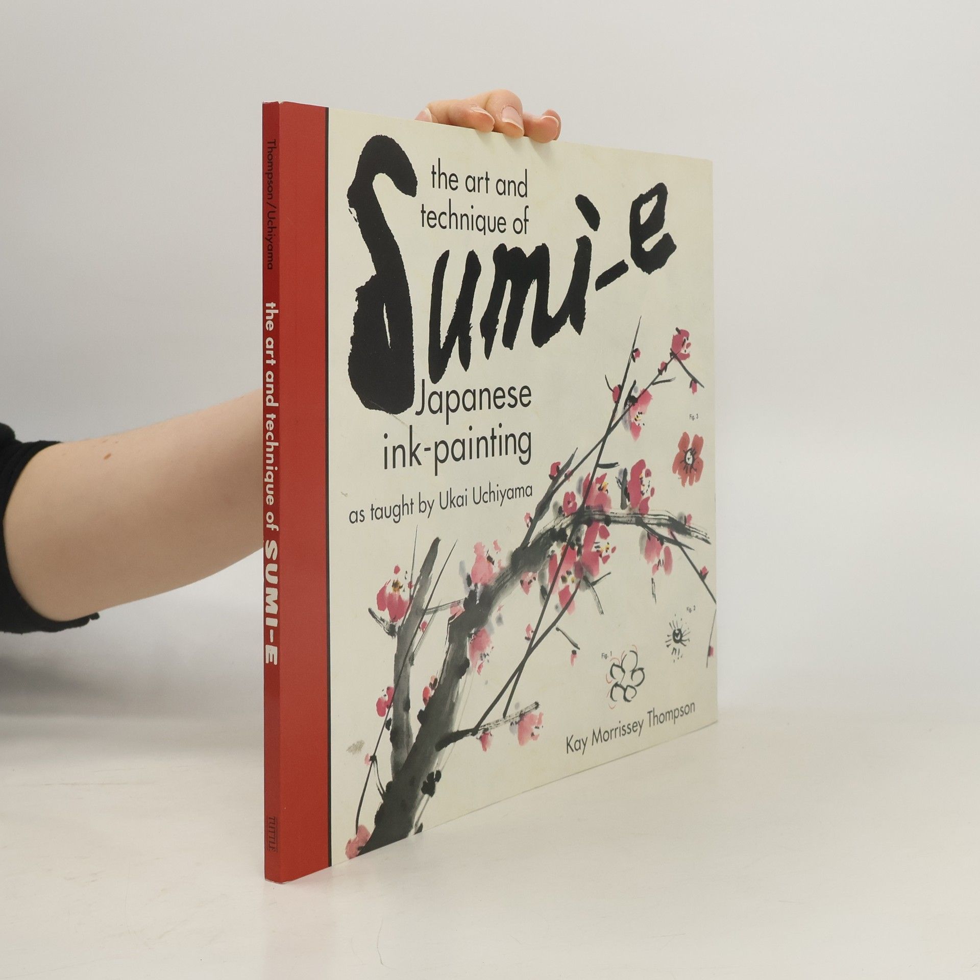 Kay Morrissey Thompson The Art and Technique of Sumi-E