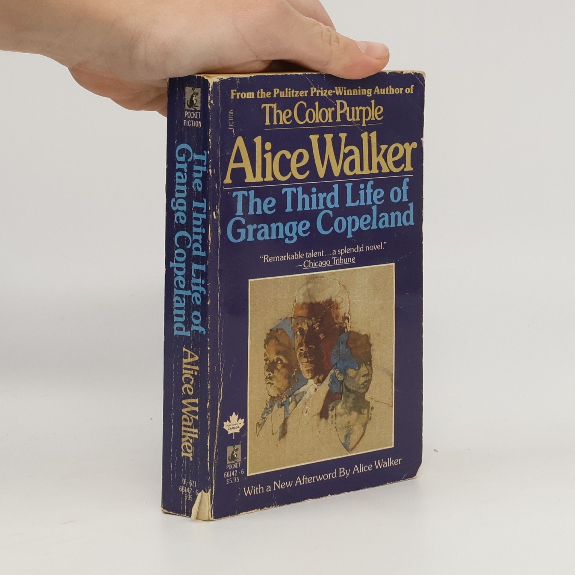 Alice Walker Pocket Fiction: The Third Life of Grange Copeland - With a New Afterword by Alice Walker