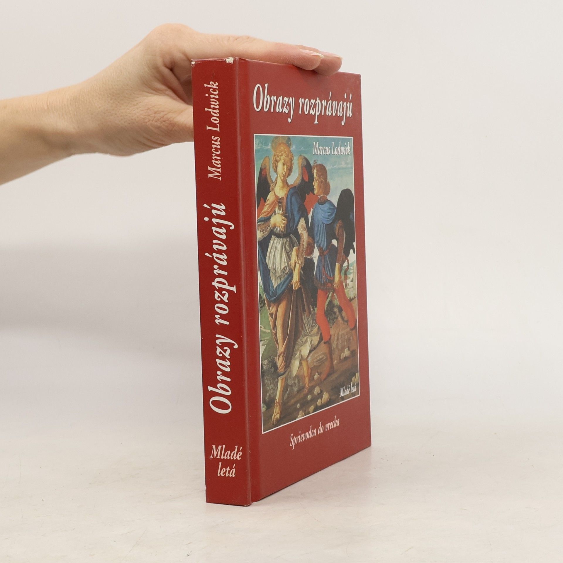 Marcus Lodwick Obrazy rozprávajú : sprievodca do vrecka