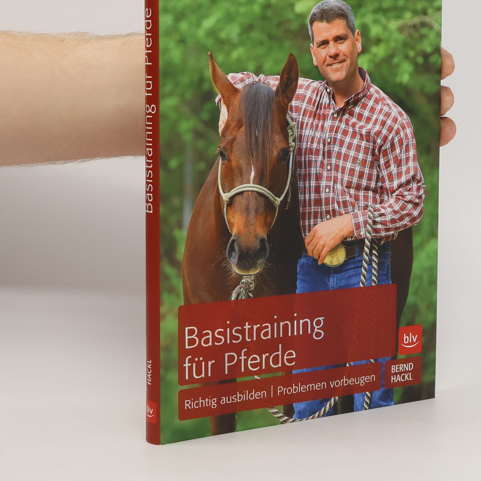 Bernd Hackl Basistraining für Pferde