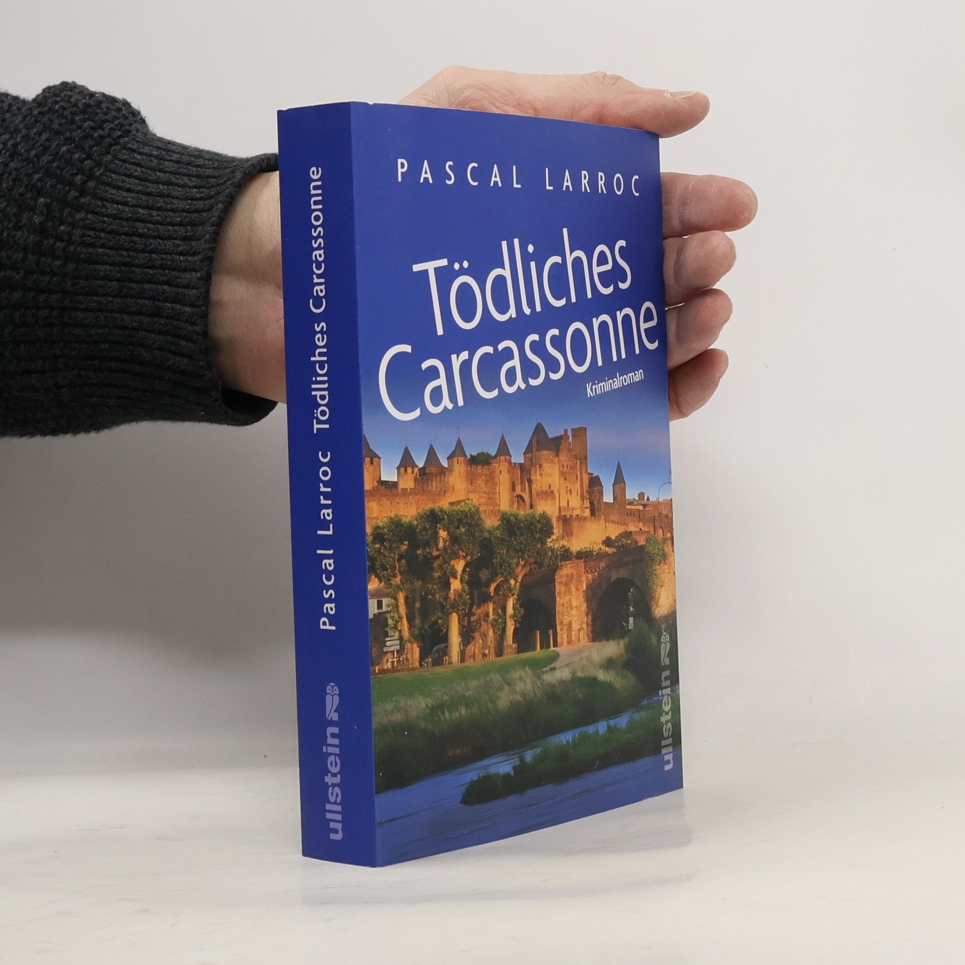 Pascal Larroc Tödliches Carcassonne