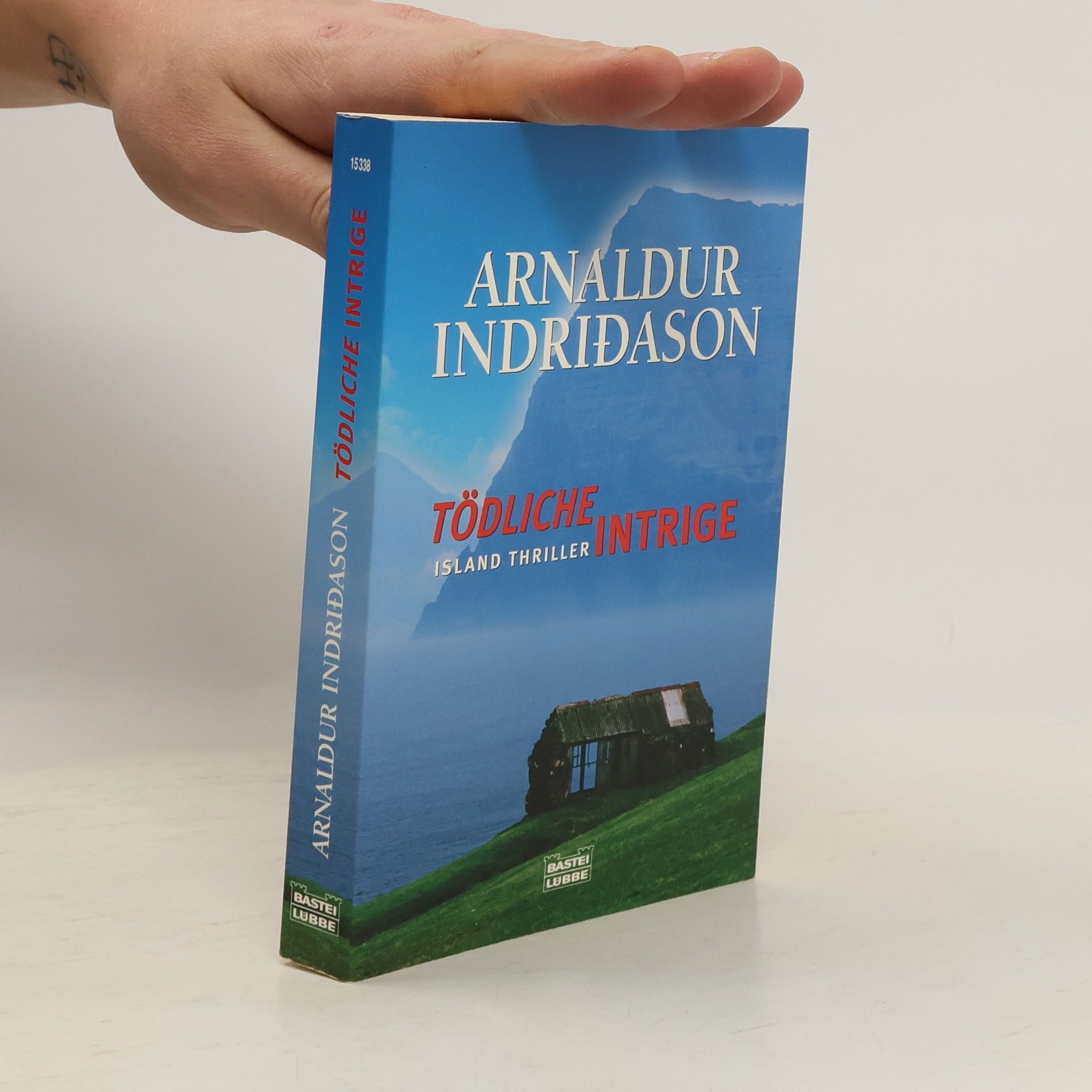 Arnaldur Indridason Tödliche Intrige