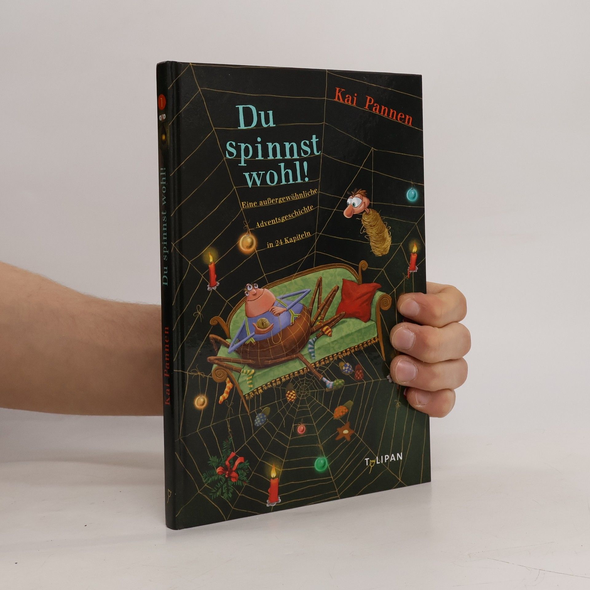 Kai Pannen Du spinnst wohl!