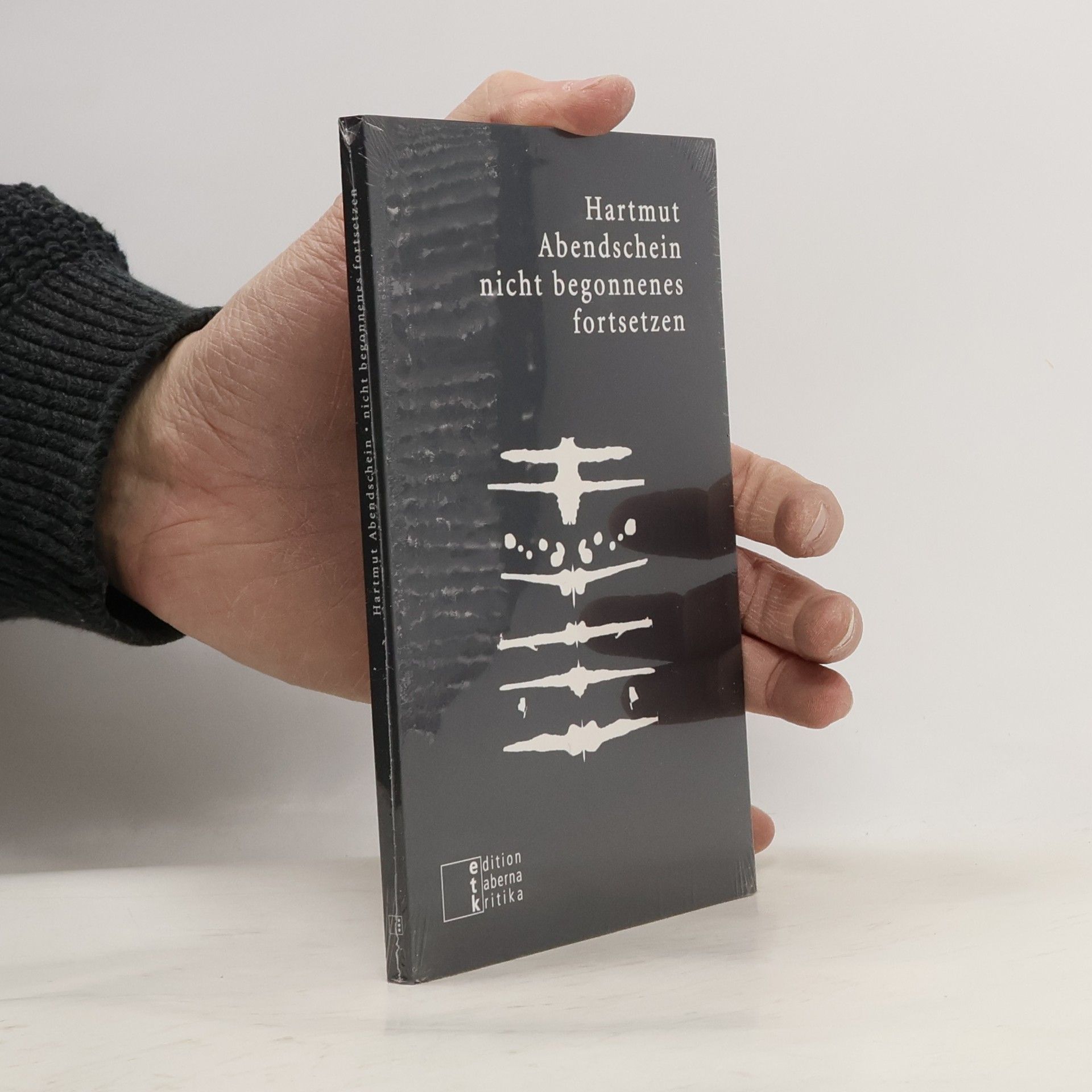 Hartmut Abendschein Nicht begonnenes fortsetzen