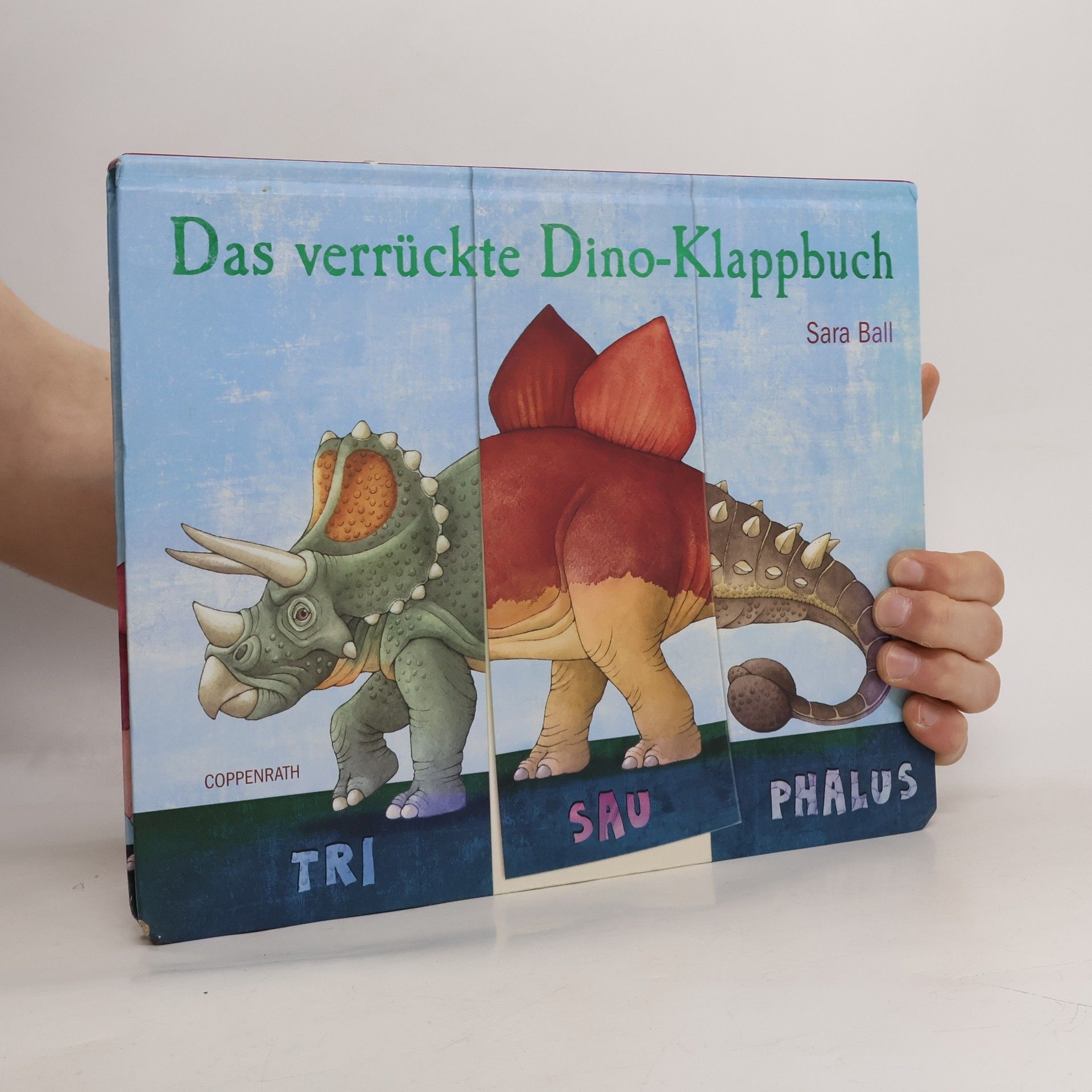 Das verrückte Dino-Klappbuch