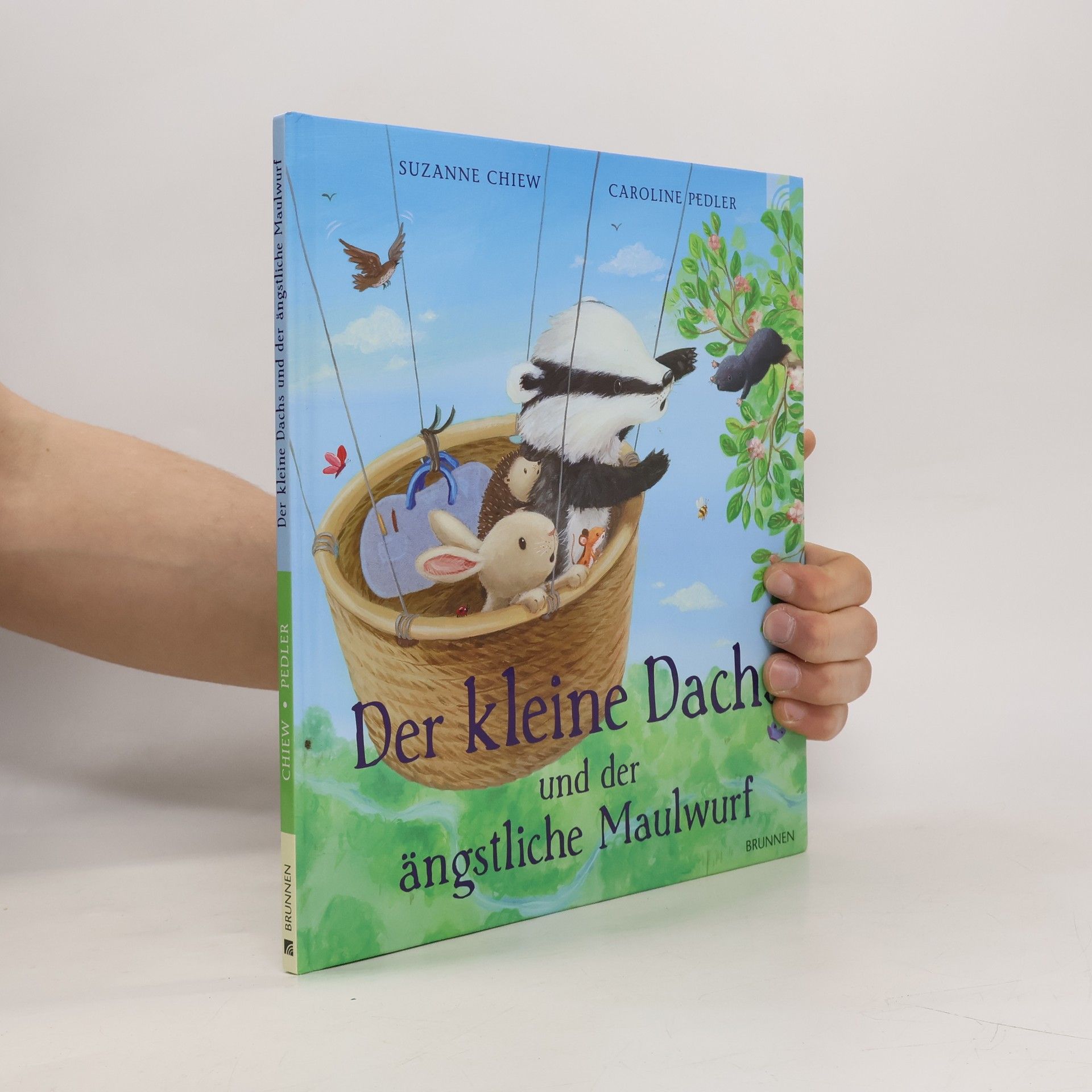 Suzanne Chiew Der kleine Dachs und der ängstliche Maulwurf