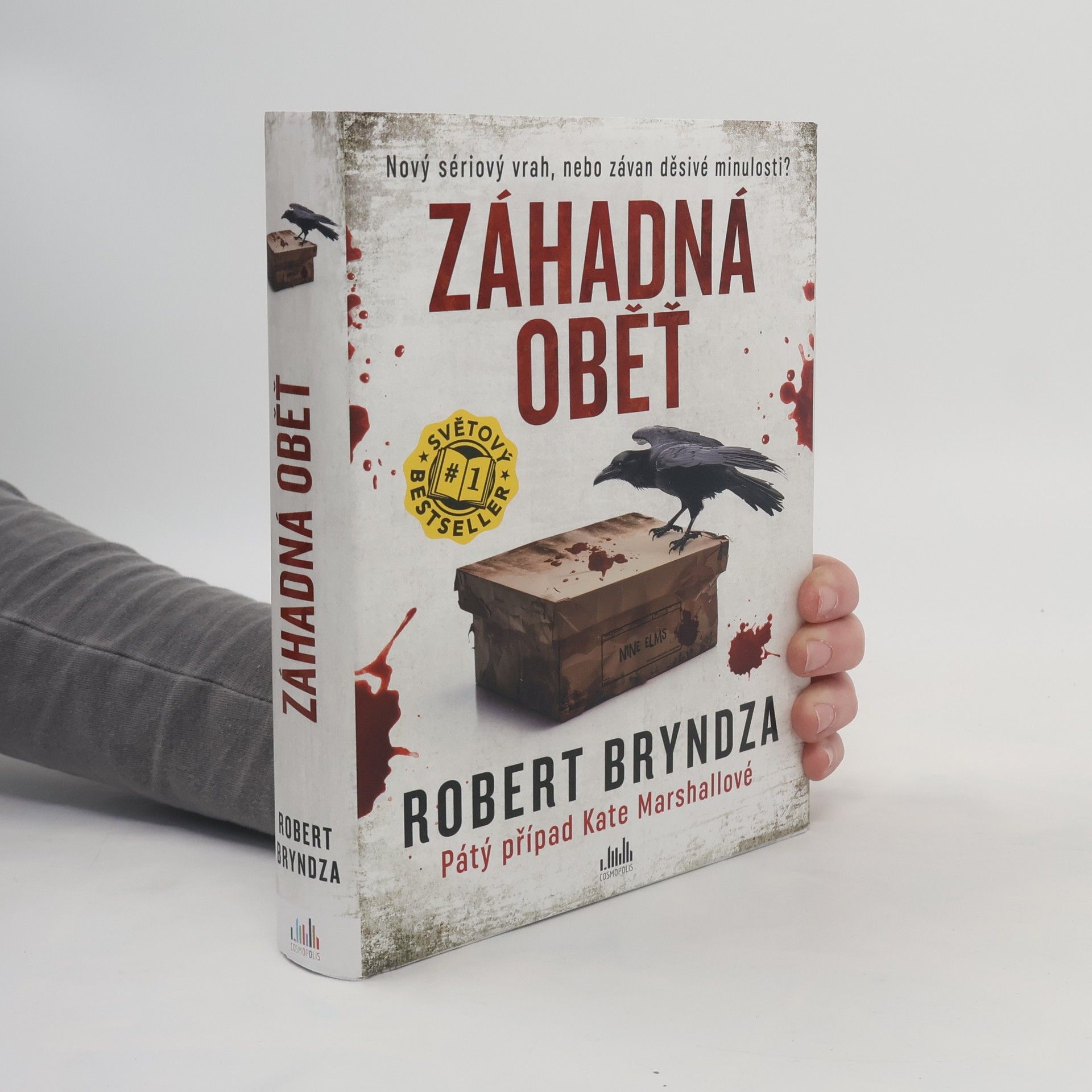 Robert Bryndza Záhadná oběť