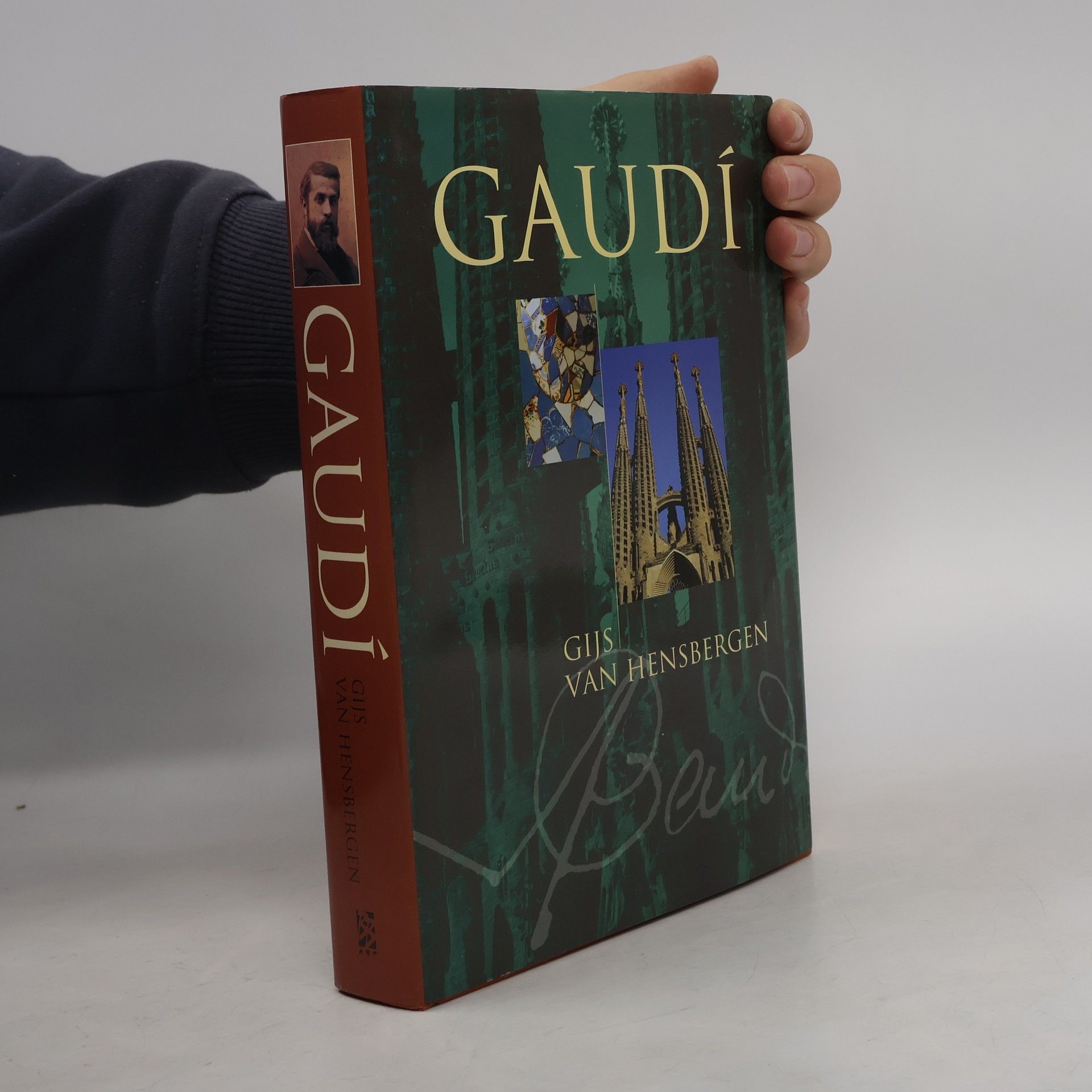 Gijs van Hensbergen Gaudí