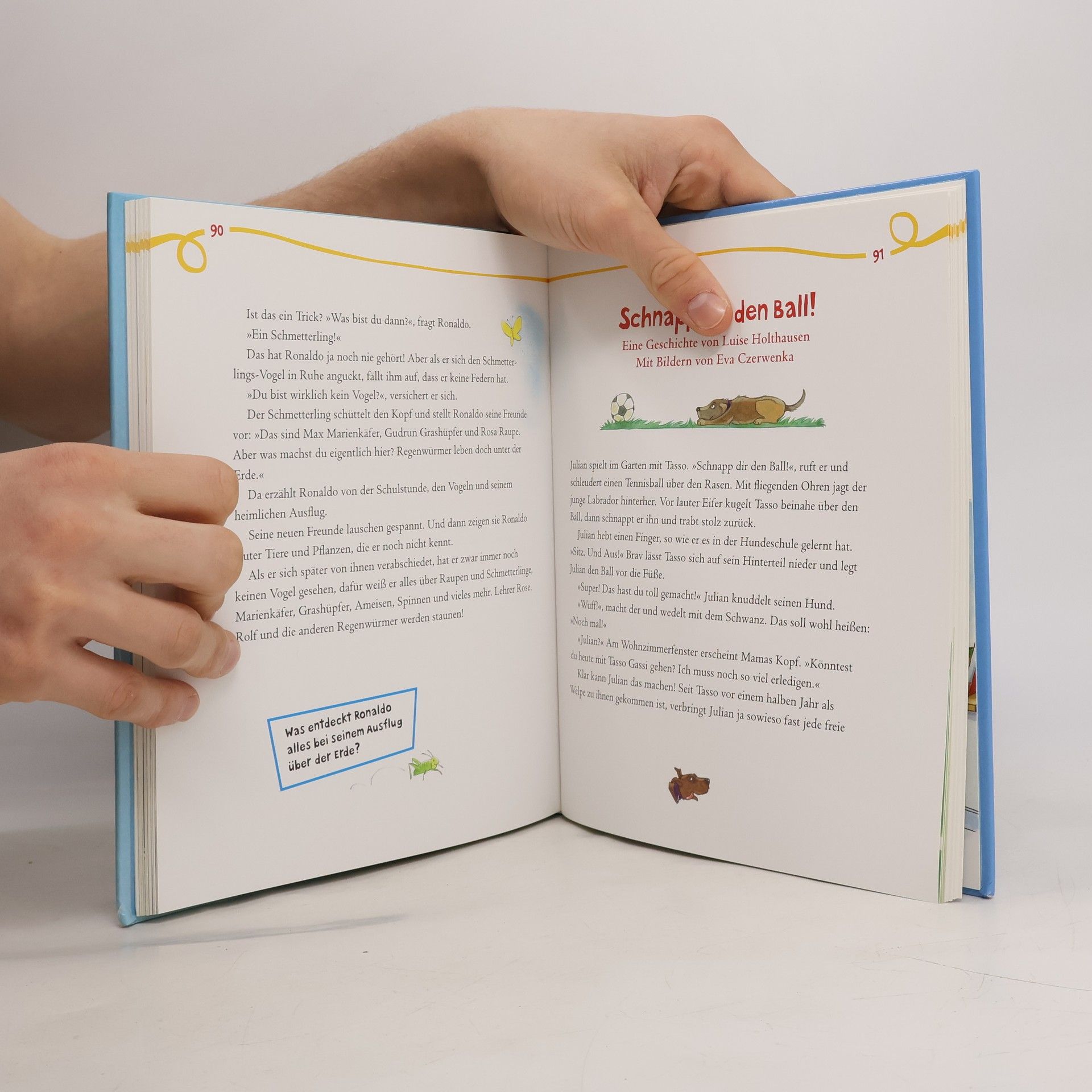 Auteurscollectief Das große Vorlesebuch für Jungs