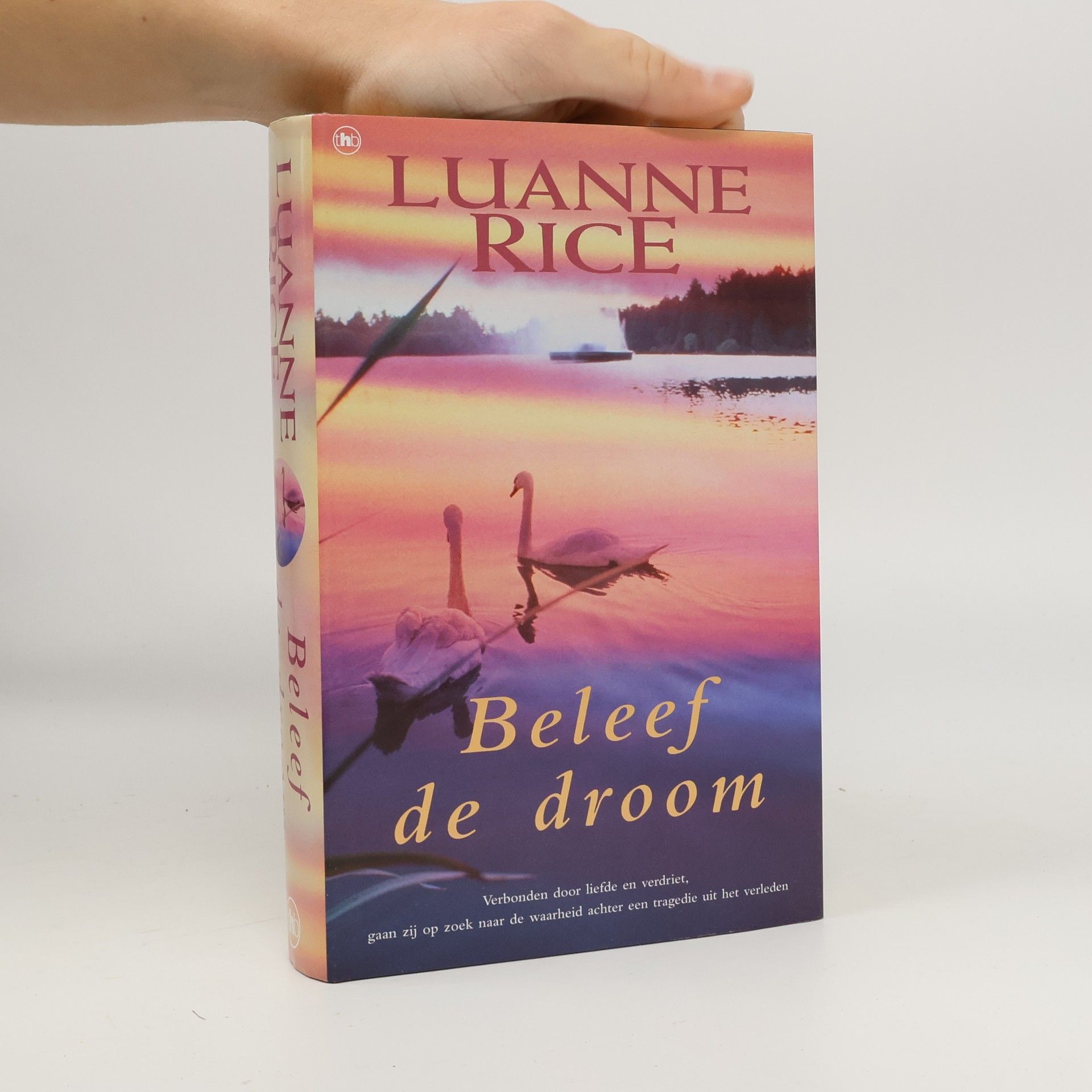 Luanne Rice Beleef de droom