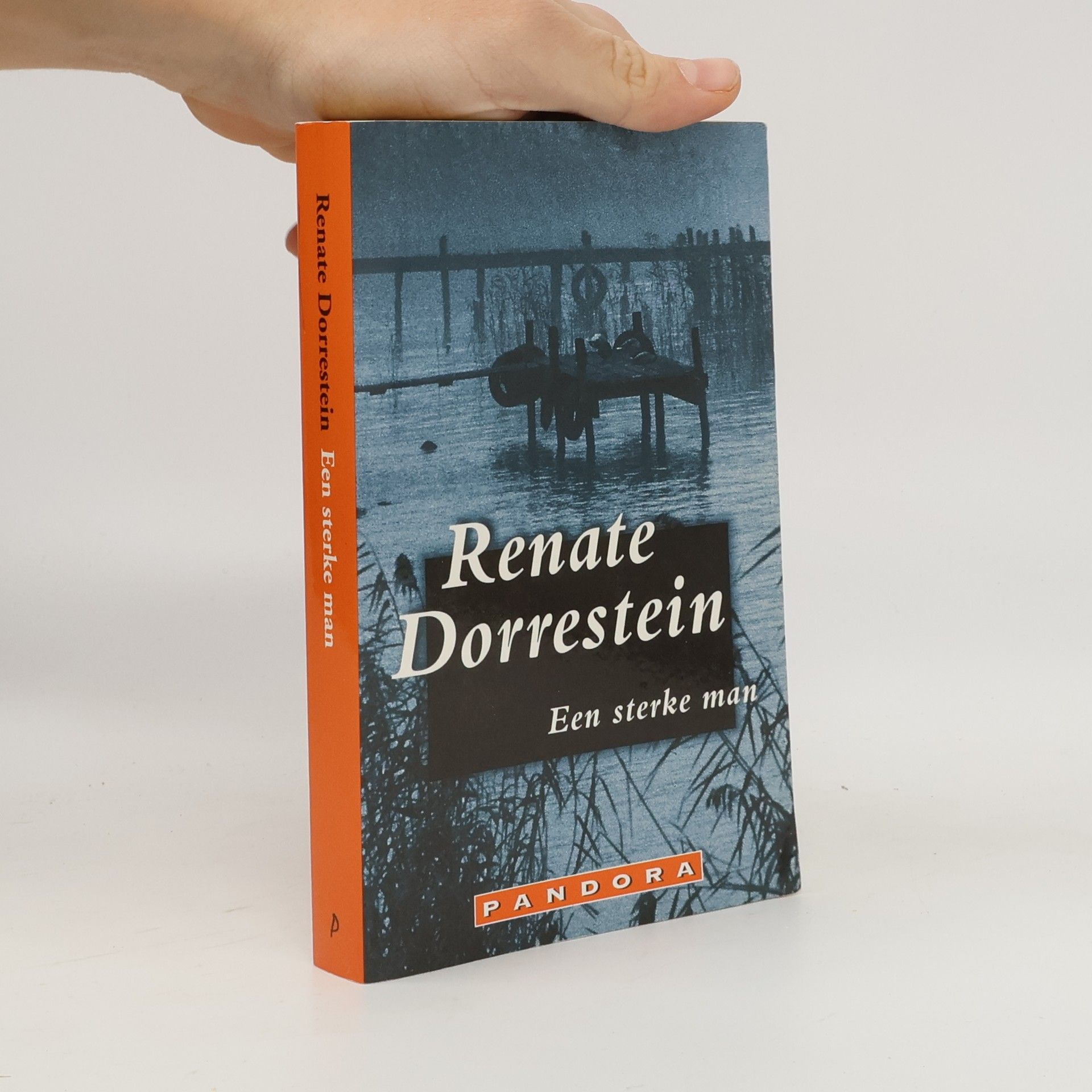 Renate Dorrestein Een sterke man