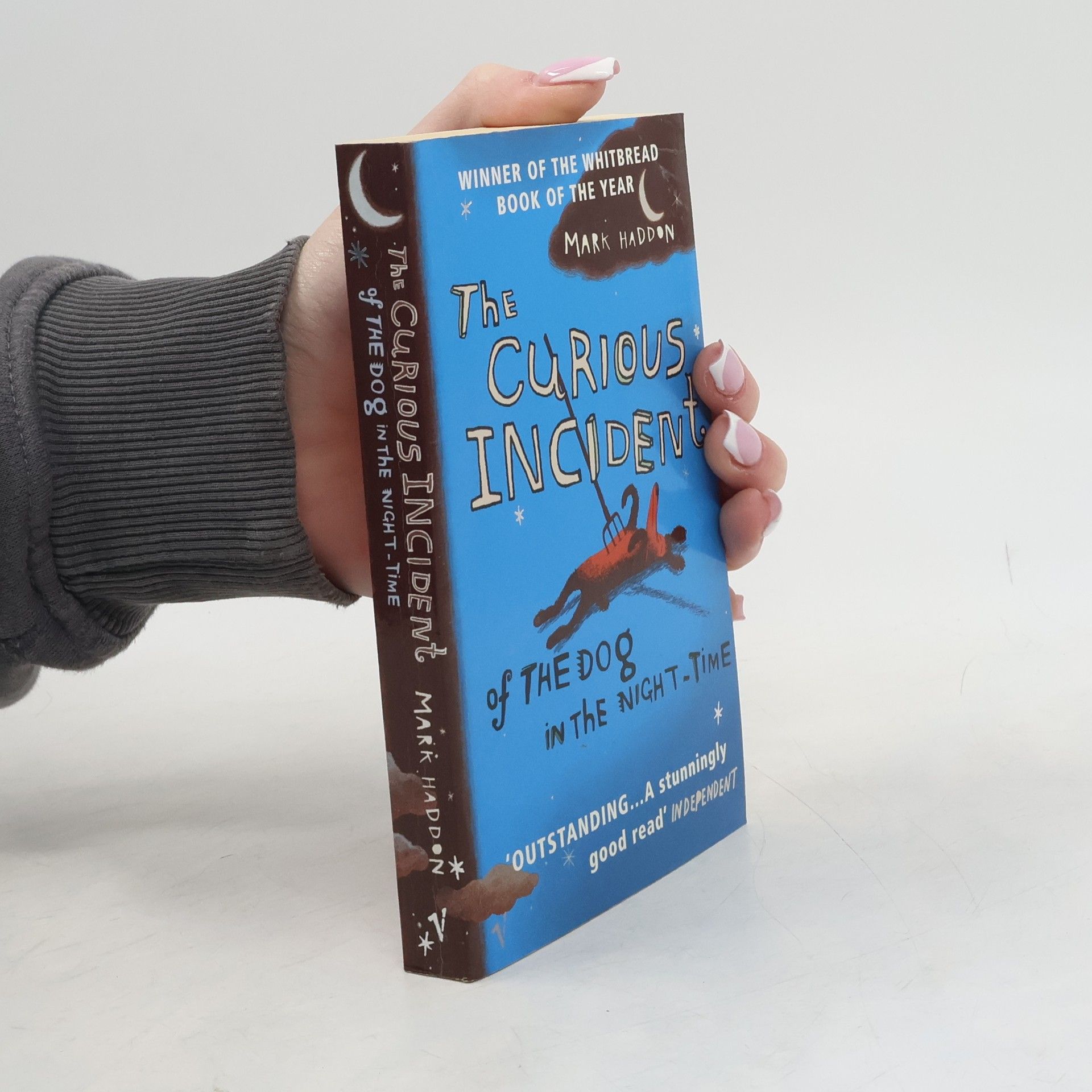 Mark Haddon The Curious Incident of The Dog in The Night-Time