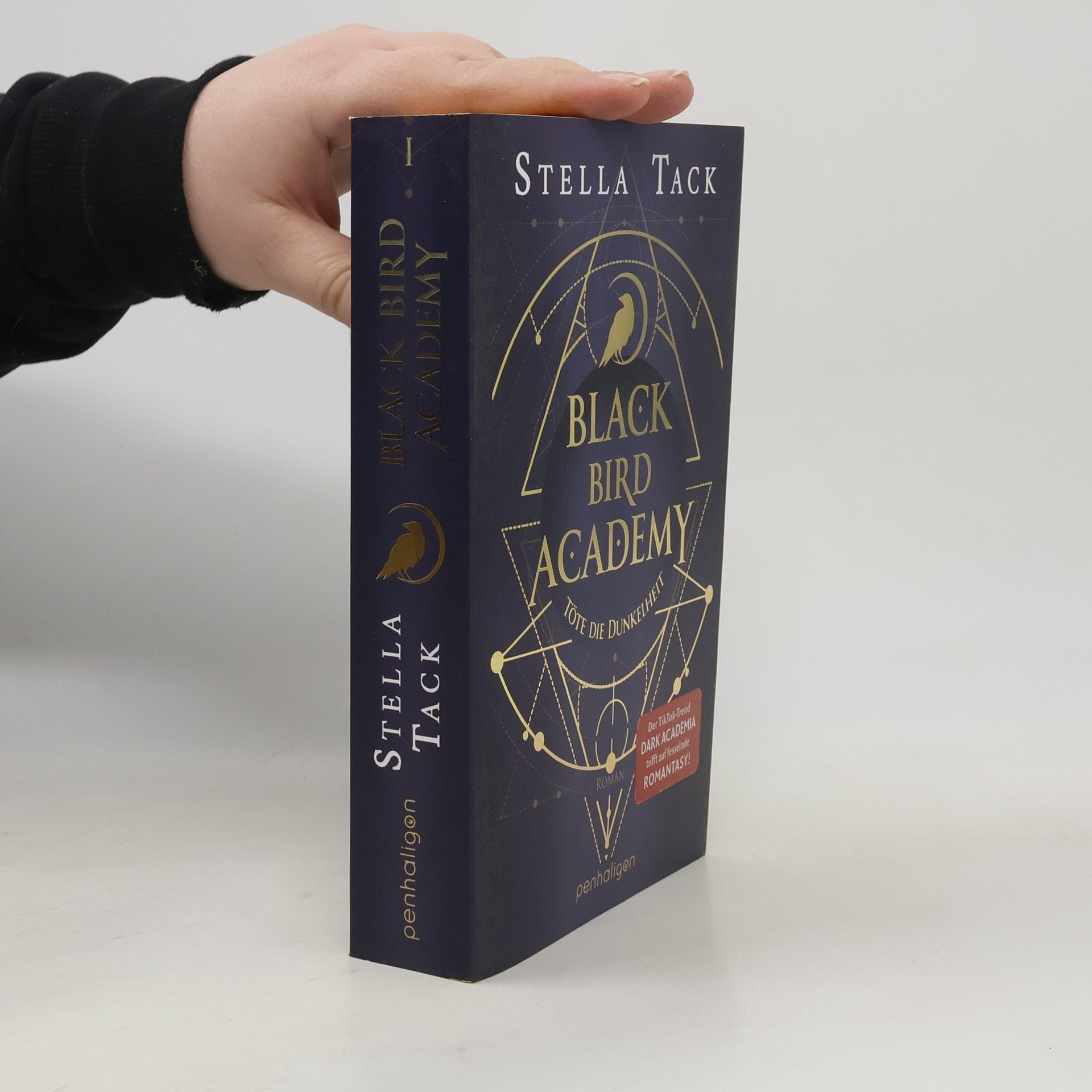 Stella Tack Black Bird Academy - Töte die Dunkelheit