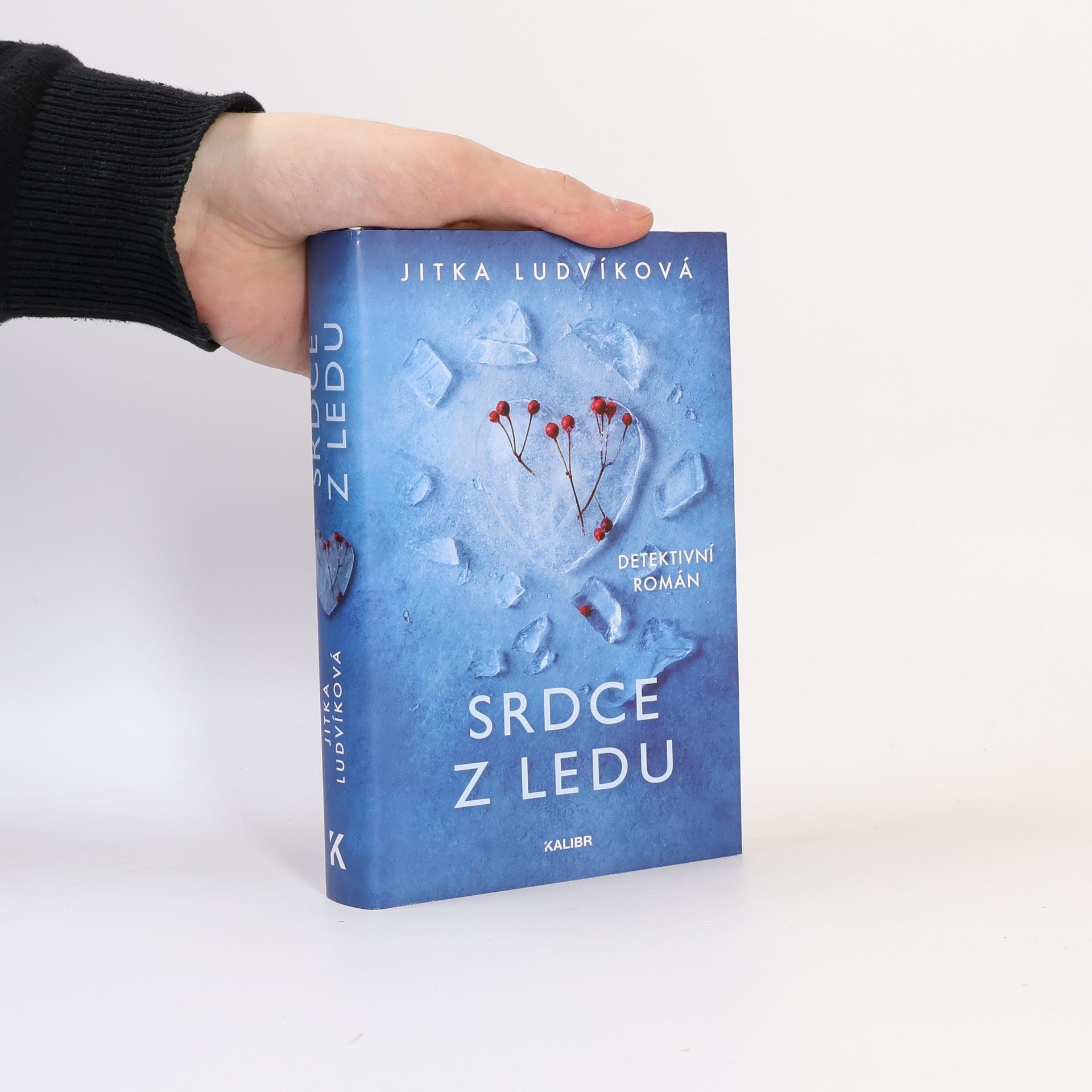 Jitka Ludvíková Srdce z ledu