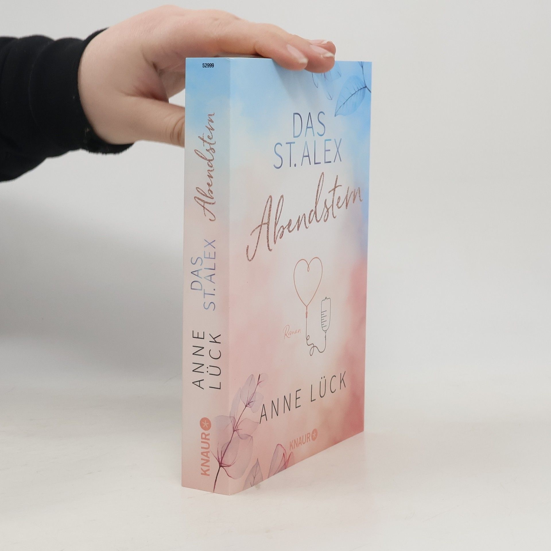 Anne Lück Das St. Alex - Abendstern