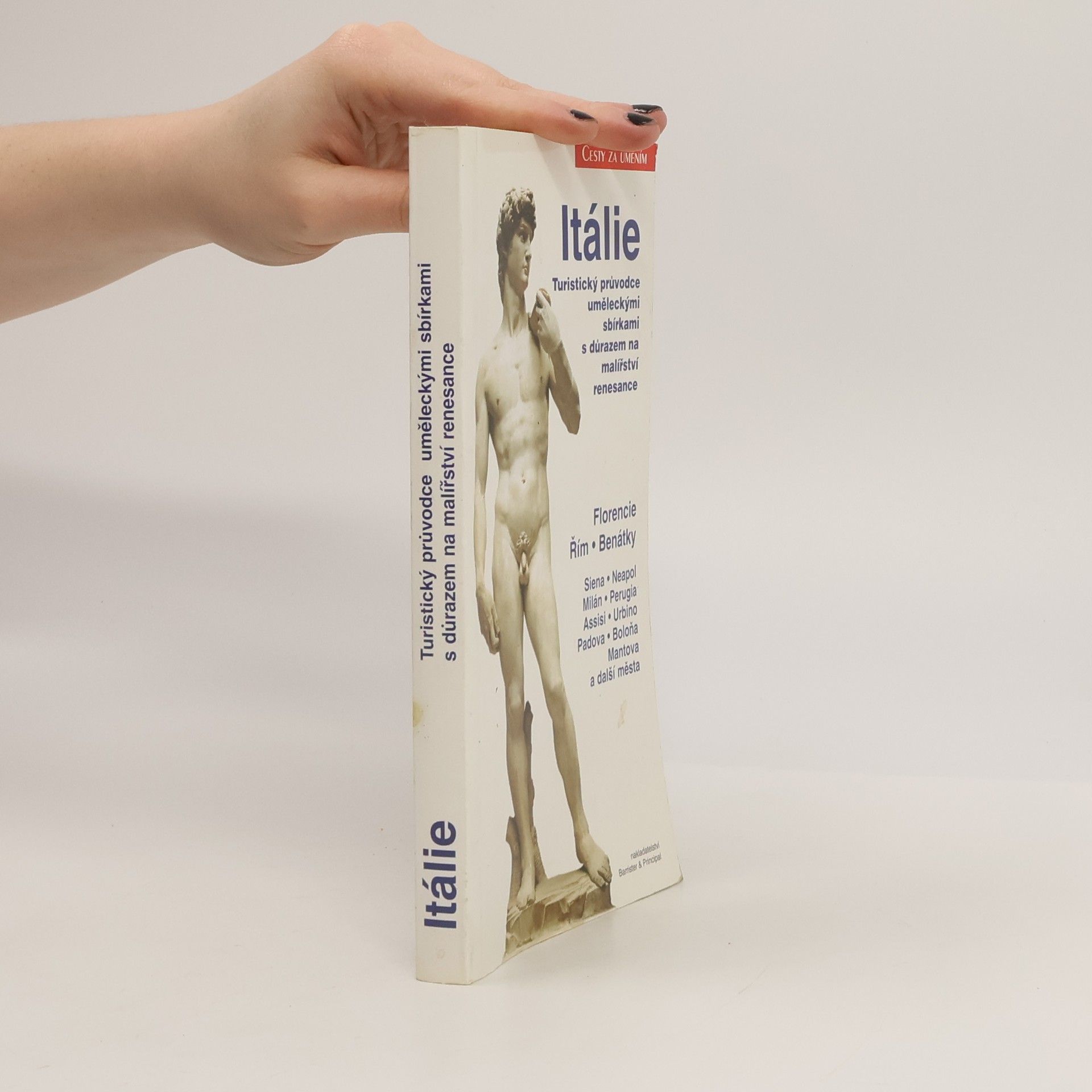 Itálie - Turistický průvodce uměleckými sbírkami s důrazem na malířství renesance
