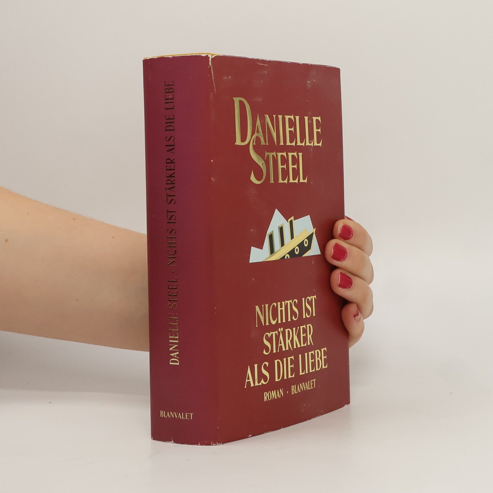 Danielle Steel Nichts ist stärker als die Liebe