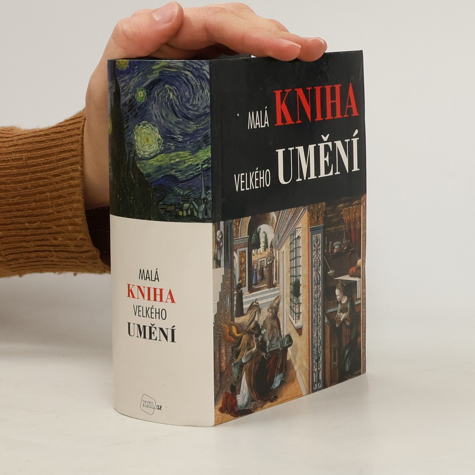 Roberto Carvalho de Magalhåes Malá kniha velkého umění