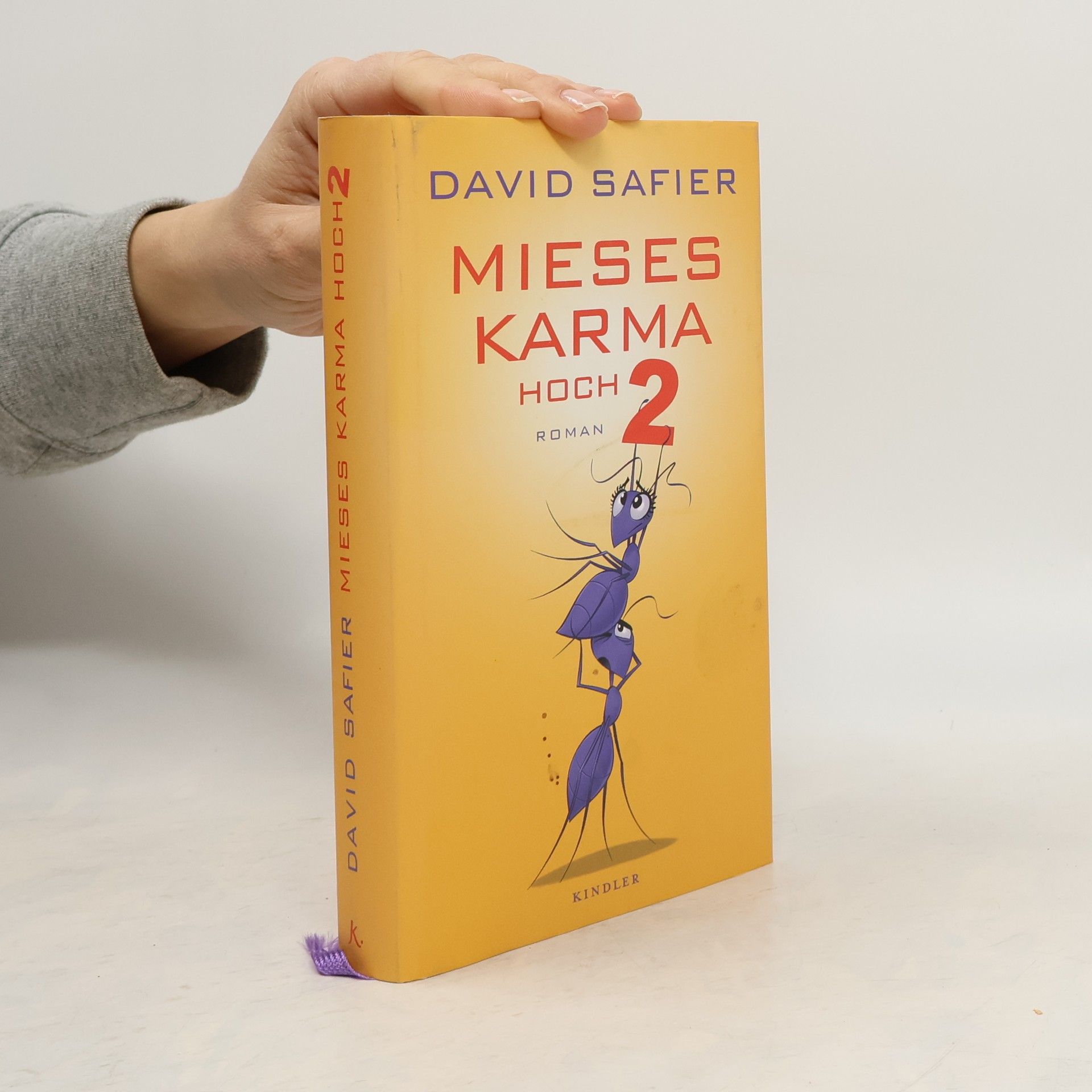 David Safier Mieses Karma hoch 2