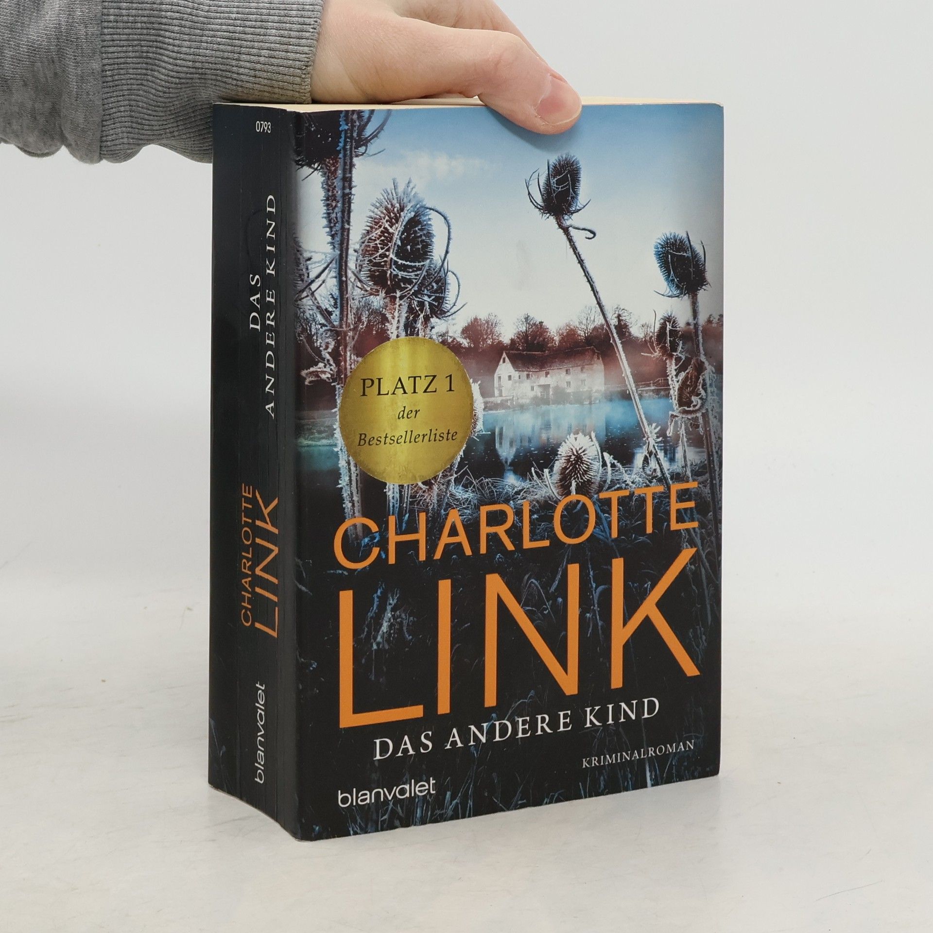 Charlotte Link Das andere Kind