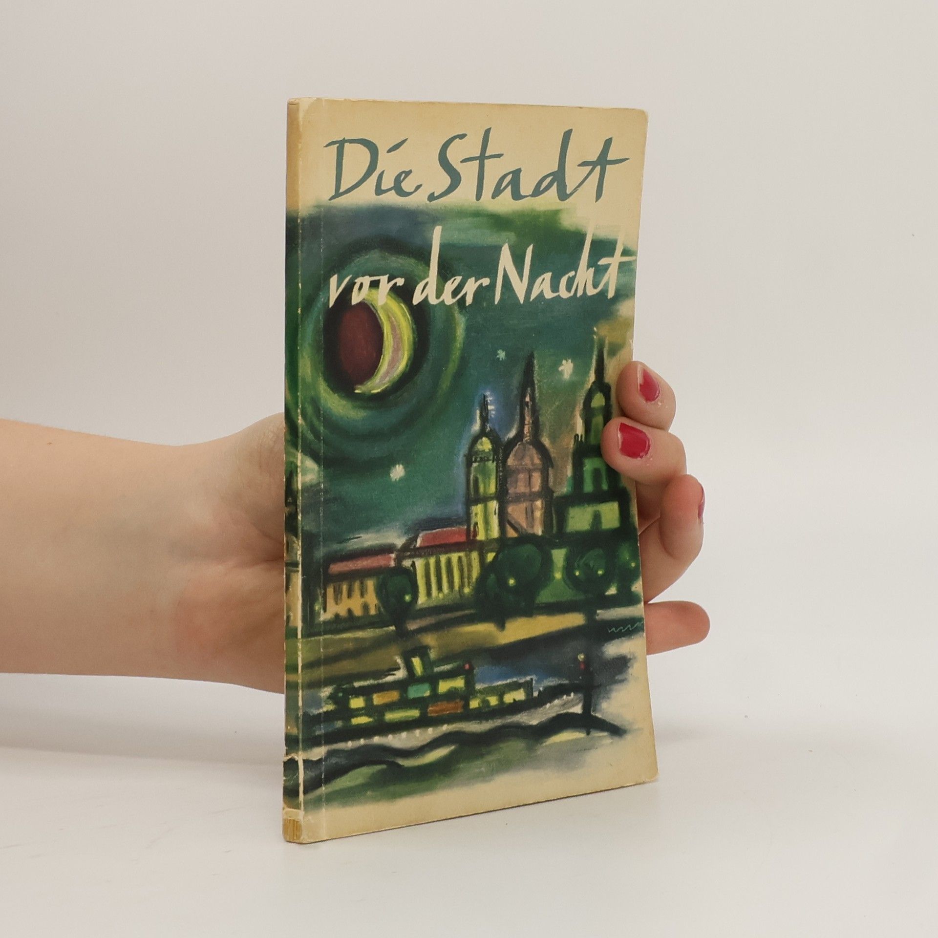 Kolektiv autorů Die Stadt vor der Nacht