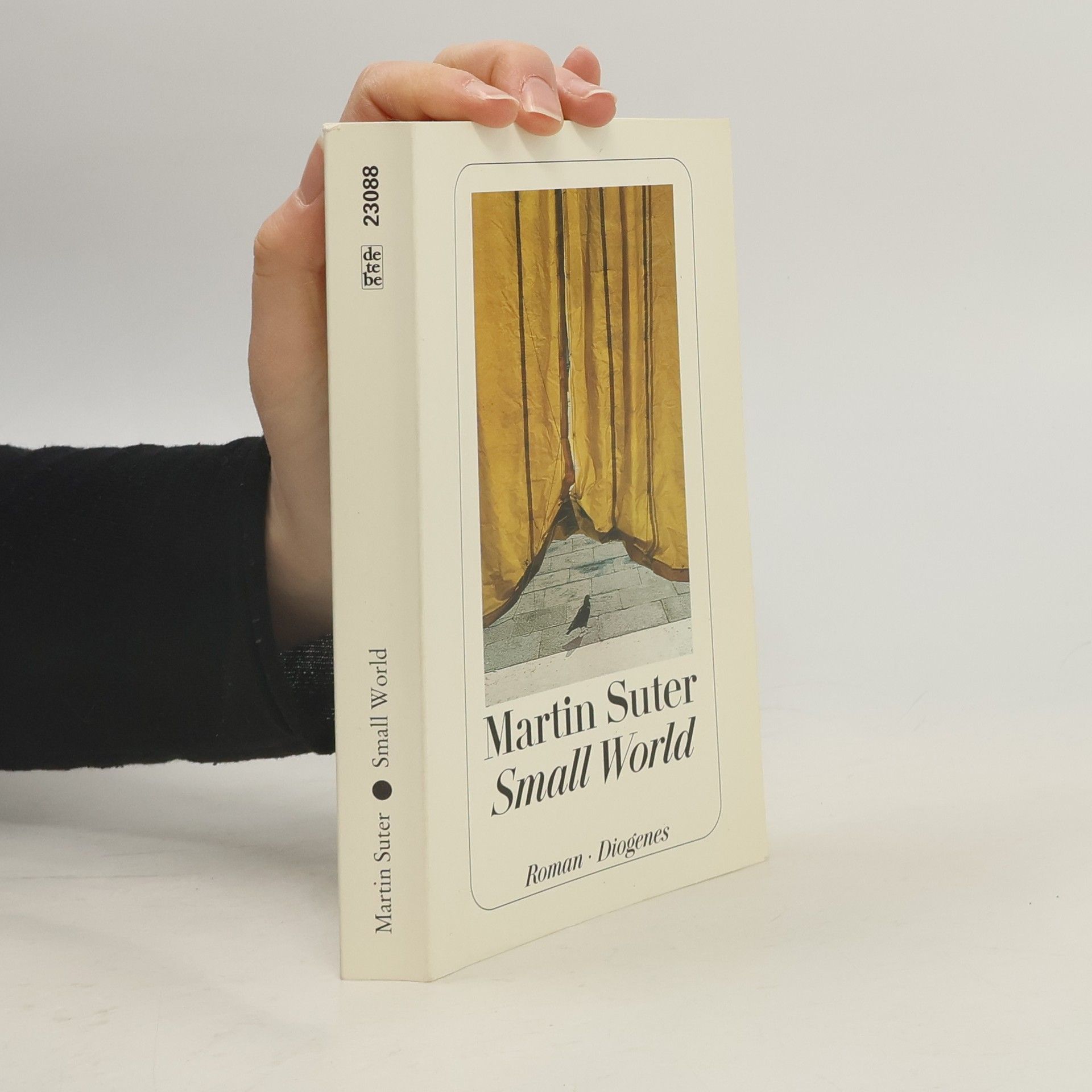 Martin Suter Small World