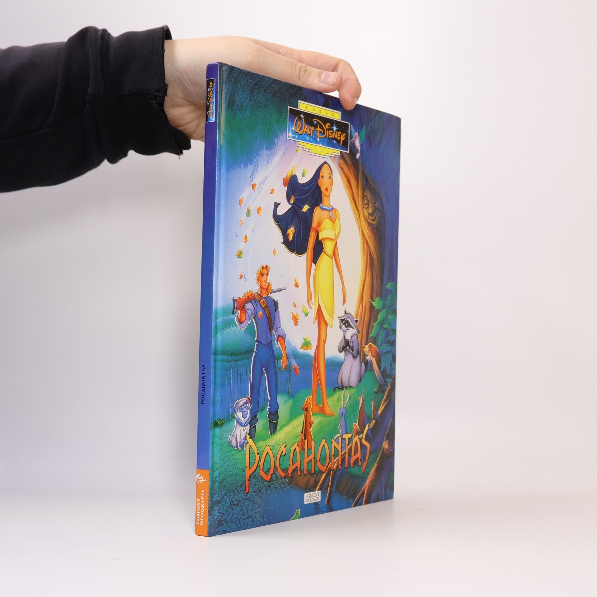 Walt Disney Pocahontas