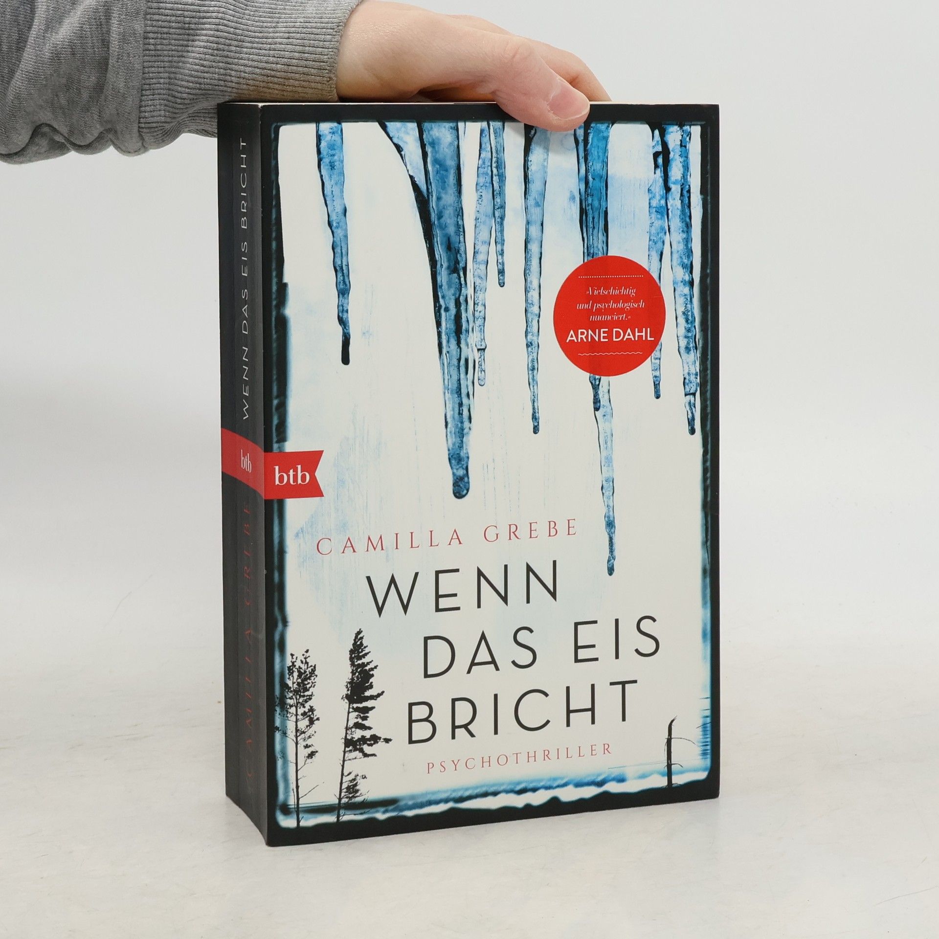 Camilla Grebe Wenn das Eis bricht