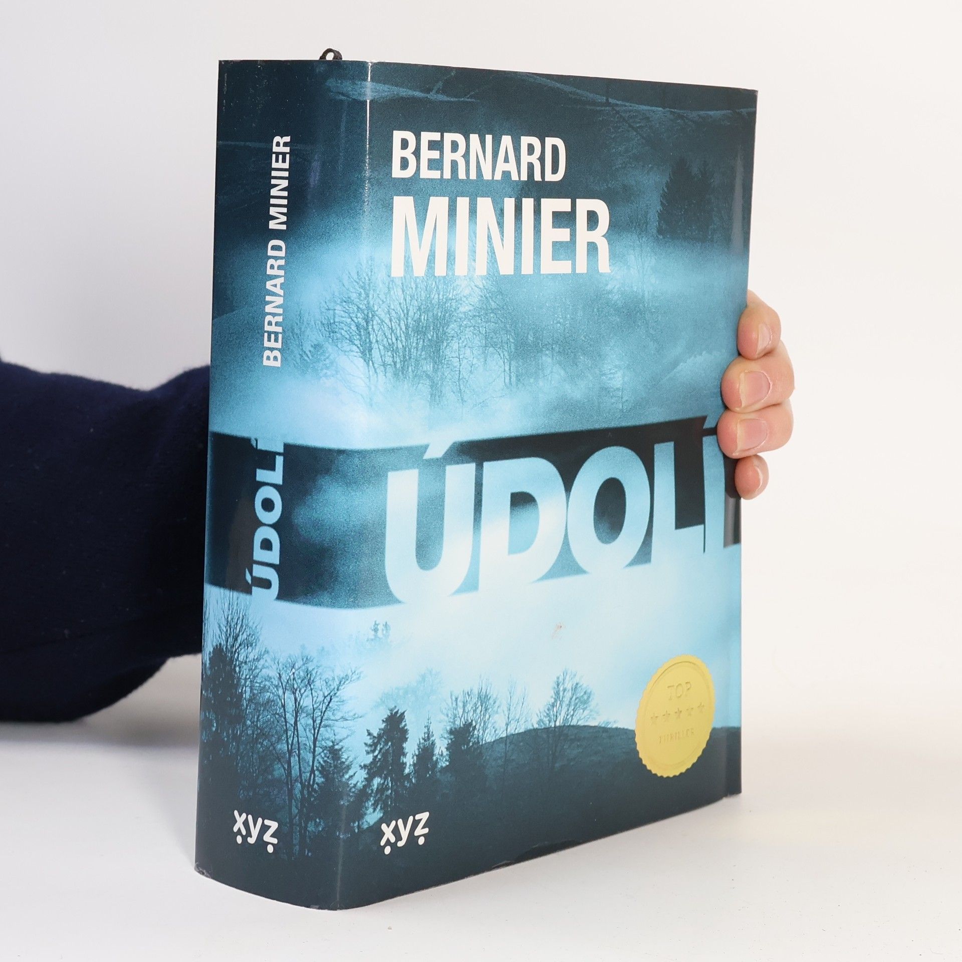 Bernard Minier Údolí