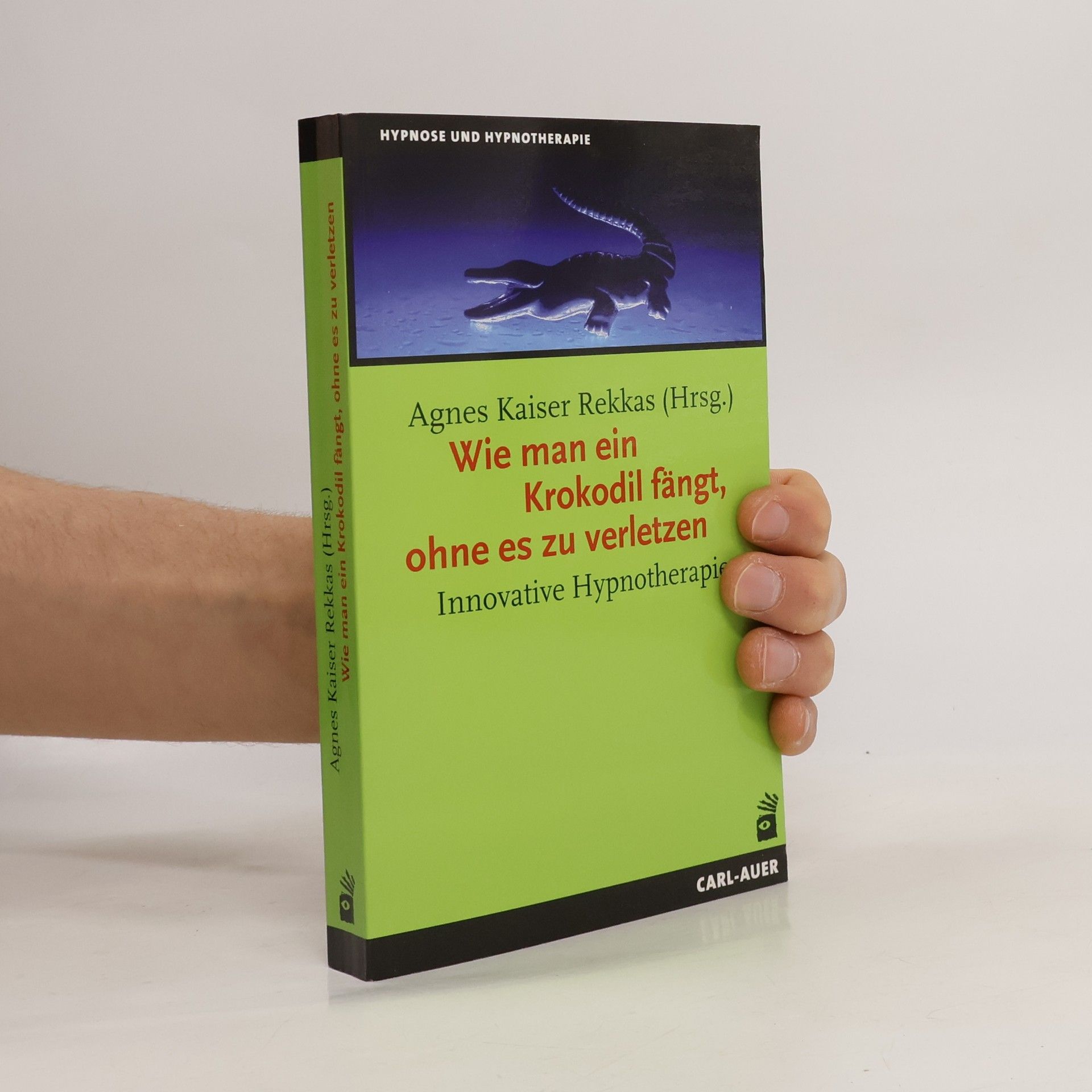 Agnes Kaiser Rekkas Wie man ein Krokodil fängt, ohne es zu verletzen