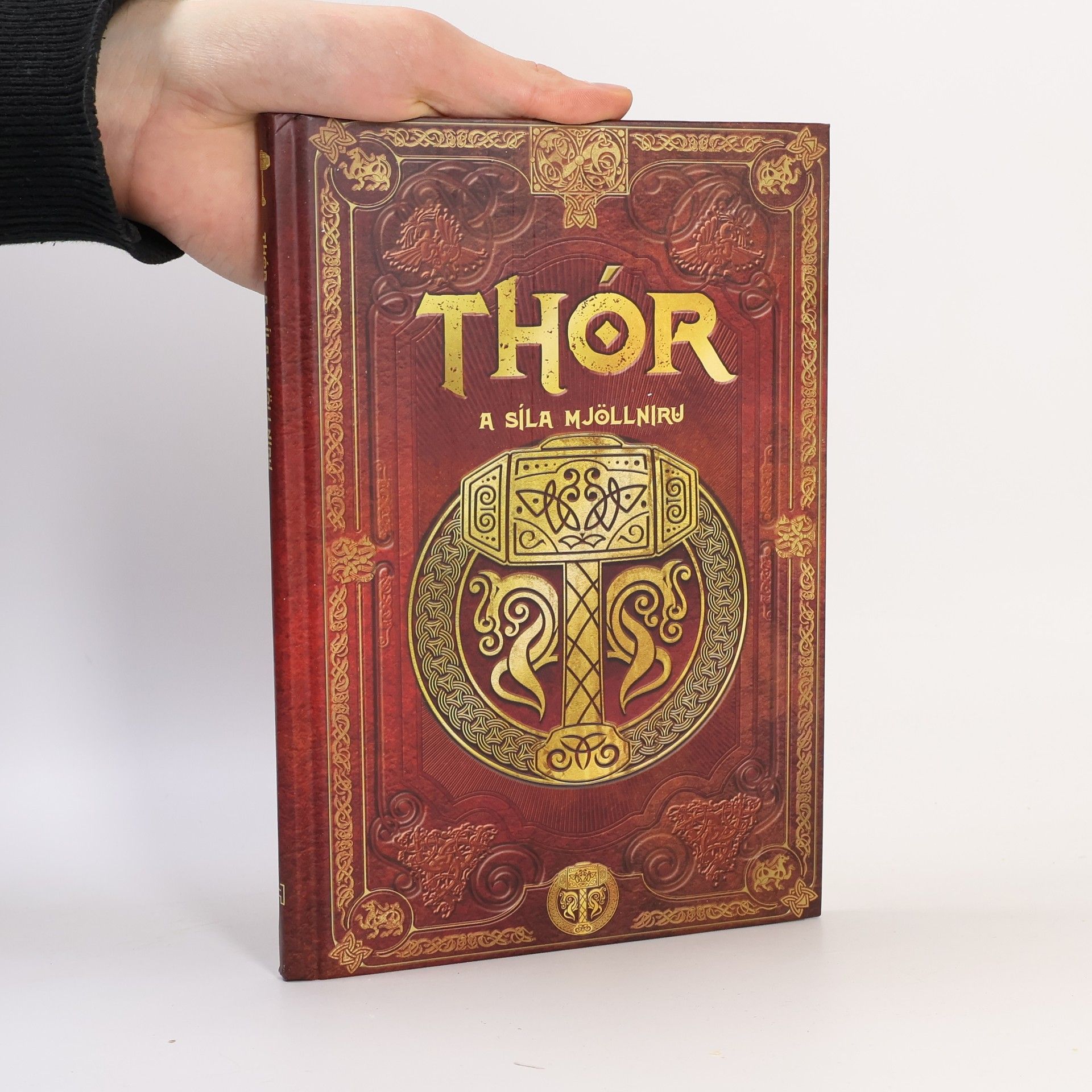 Sergio A. Sierra Thór a síla Mjöllniru