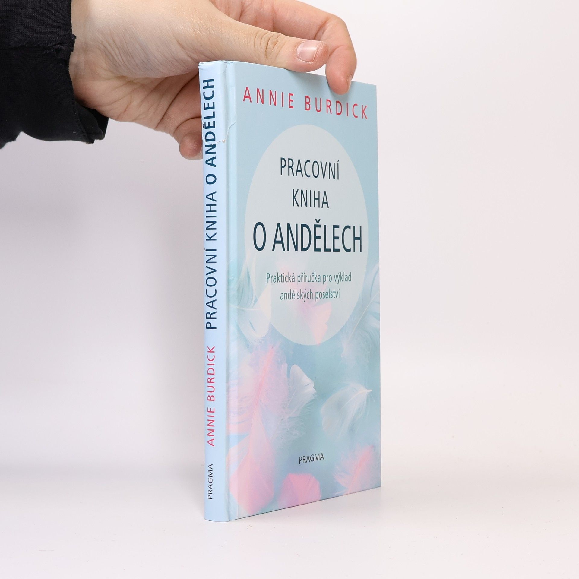Annie Burdick Pracovní kniha o andělech