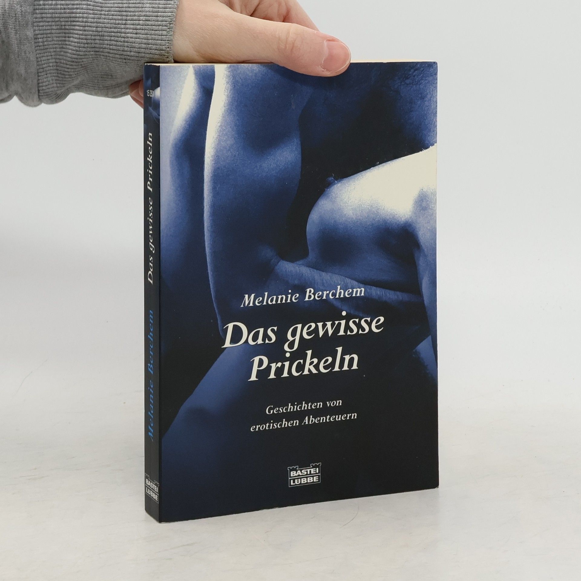 Melanie Berchem Das gewisse Prickeln. Geschichten von erotischen Abenteuern