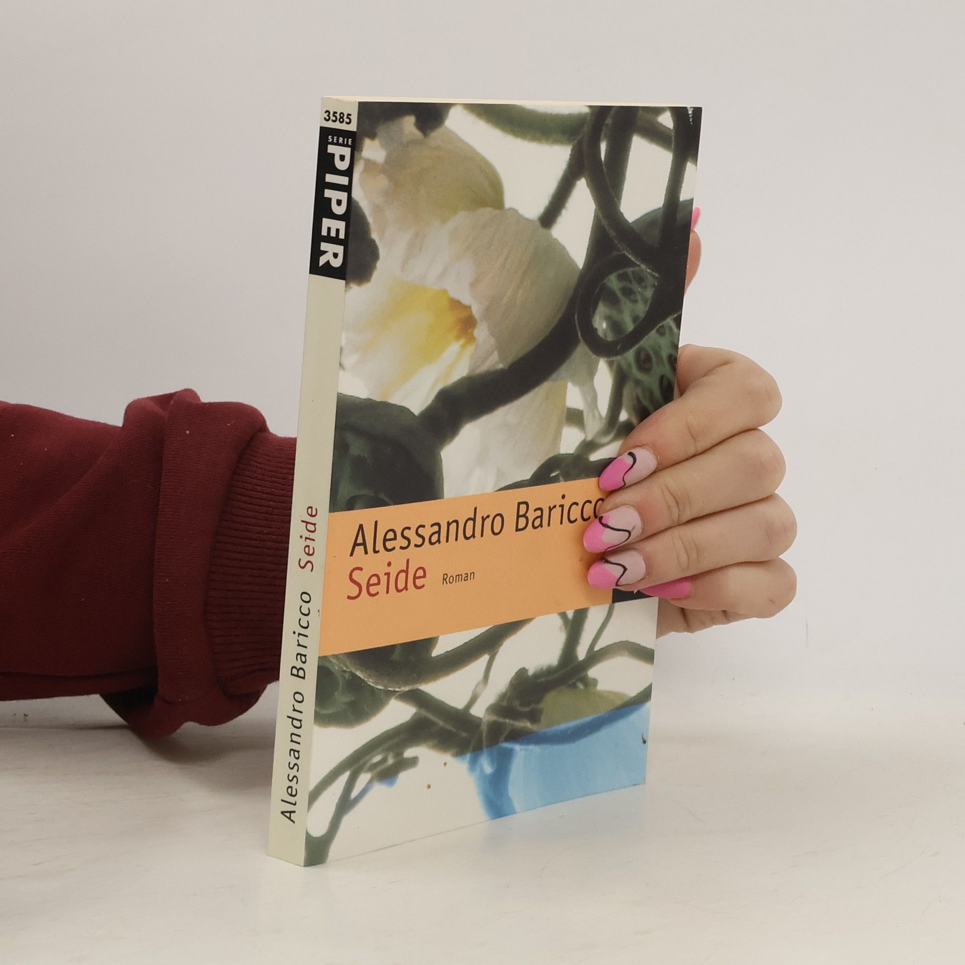 Alessandro Baricco Seide