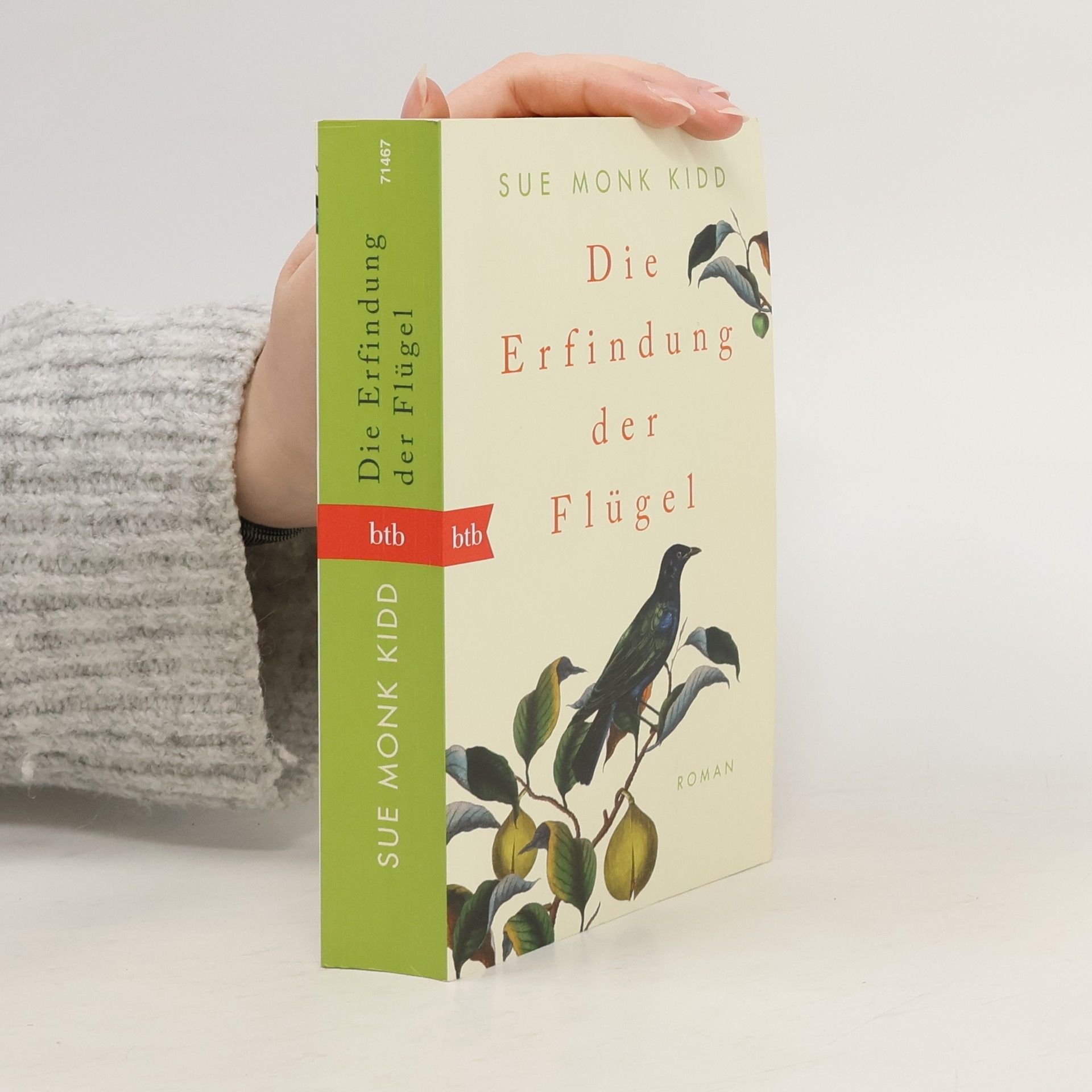 Sue Monk Kidd Die Erfindung der Flügel
