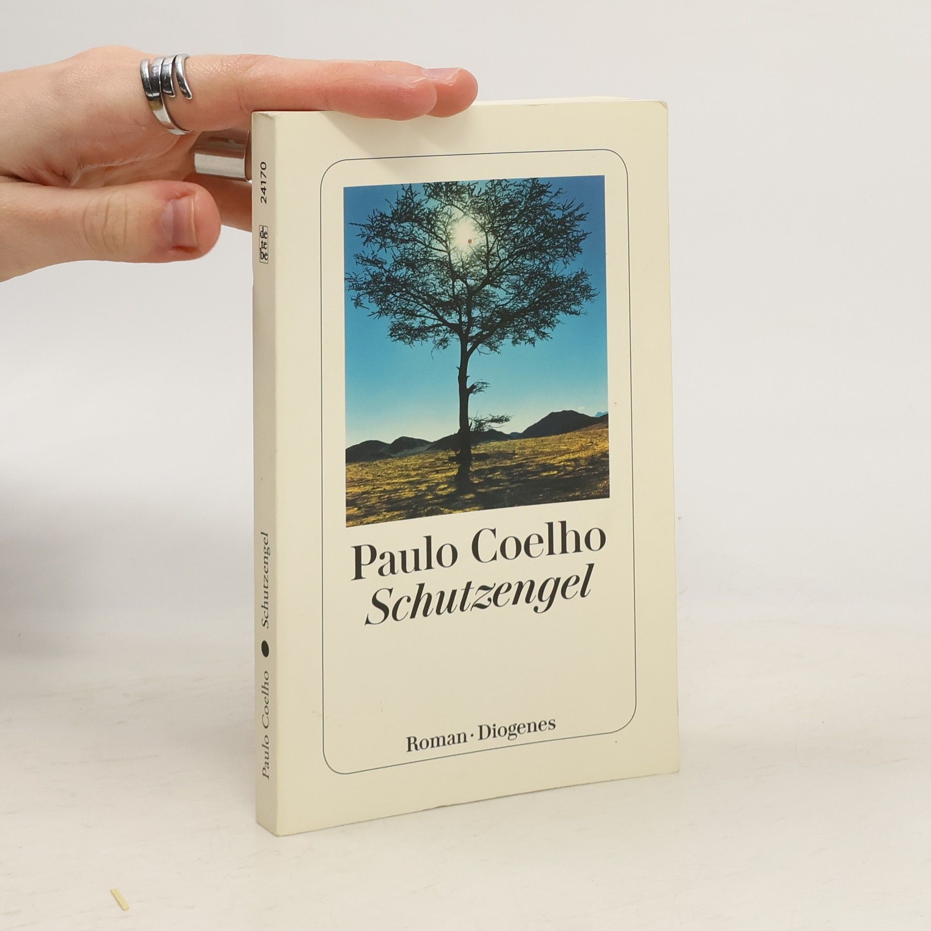 Paulo Coelho Schutzengel