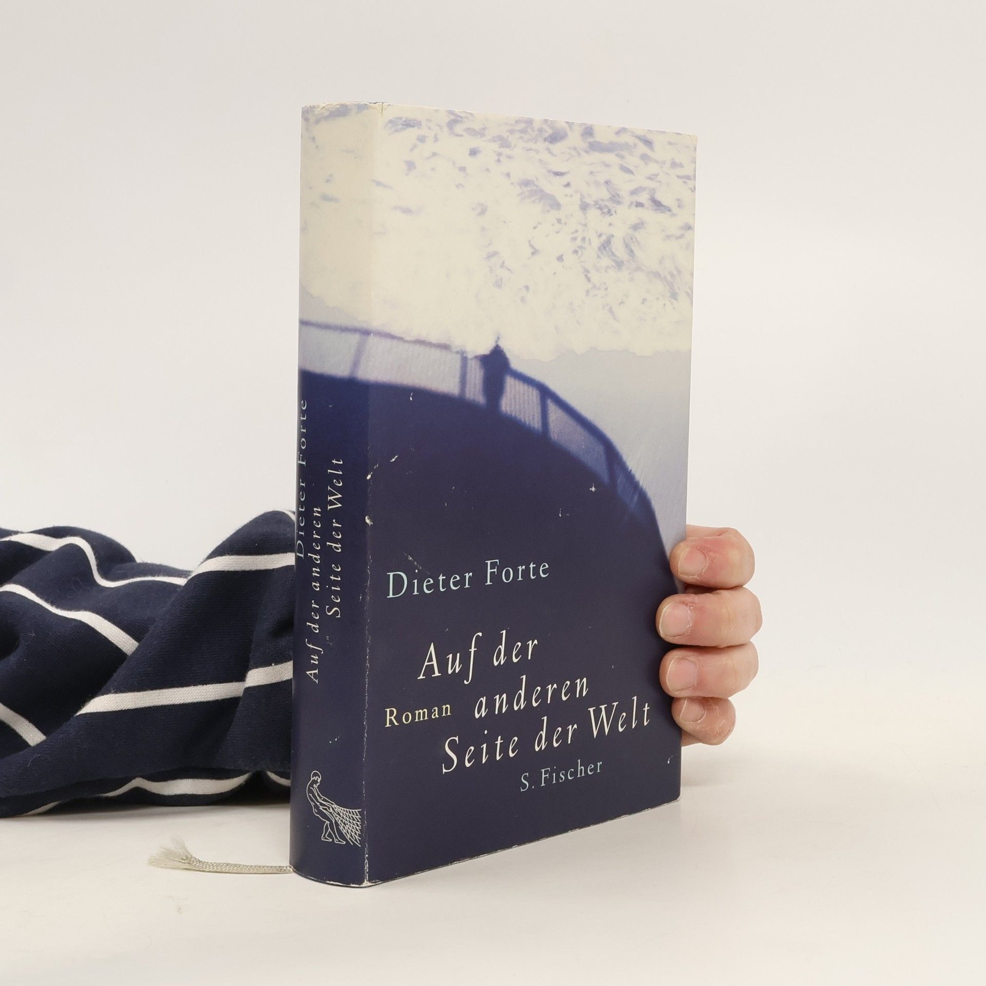 Dieter Forte Auf der anderen Seite der Welt