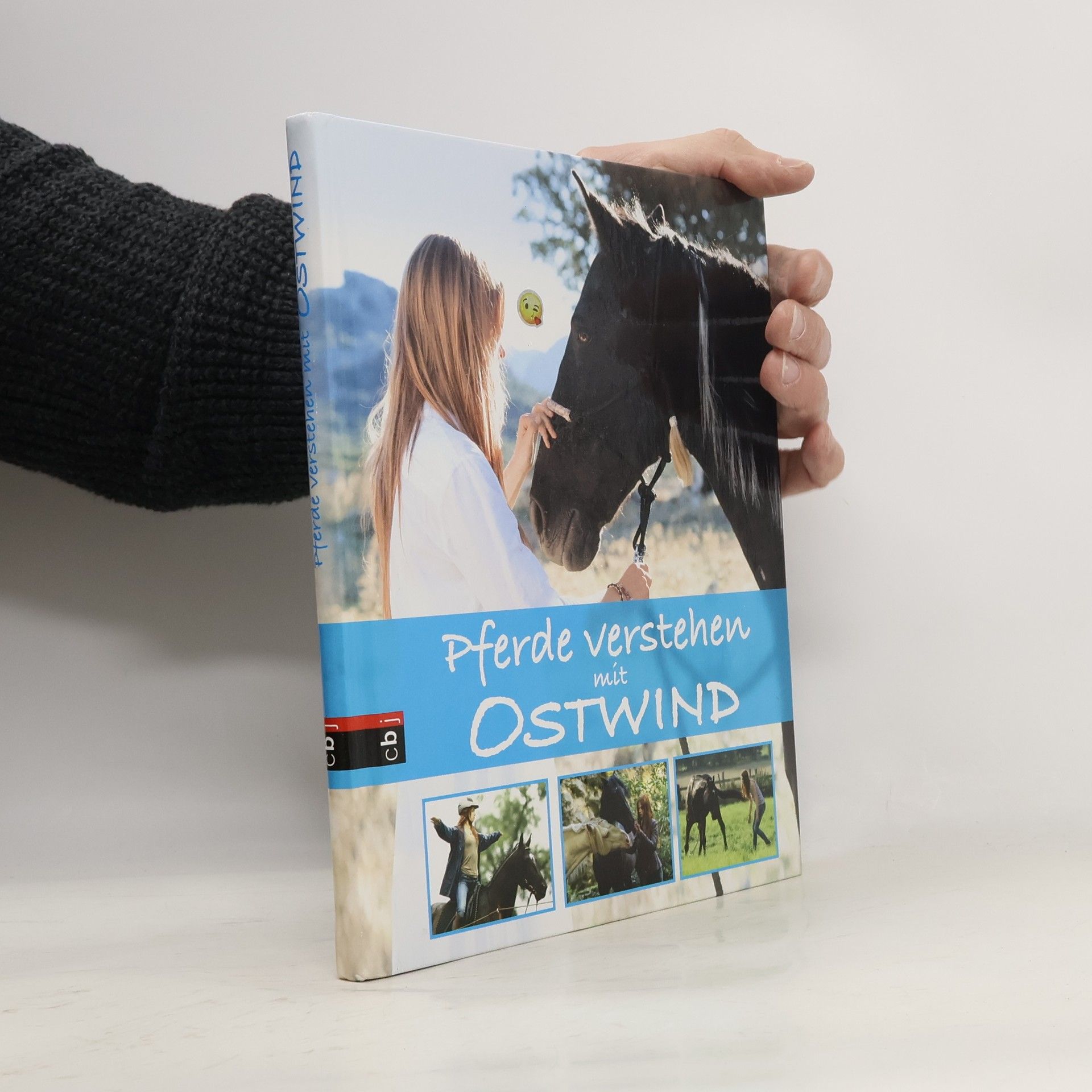 Almut Schmidt Pferde verstehen mit Ostwind