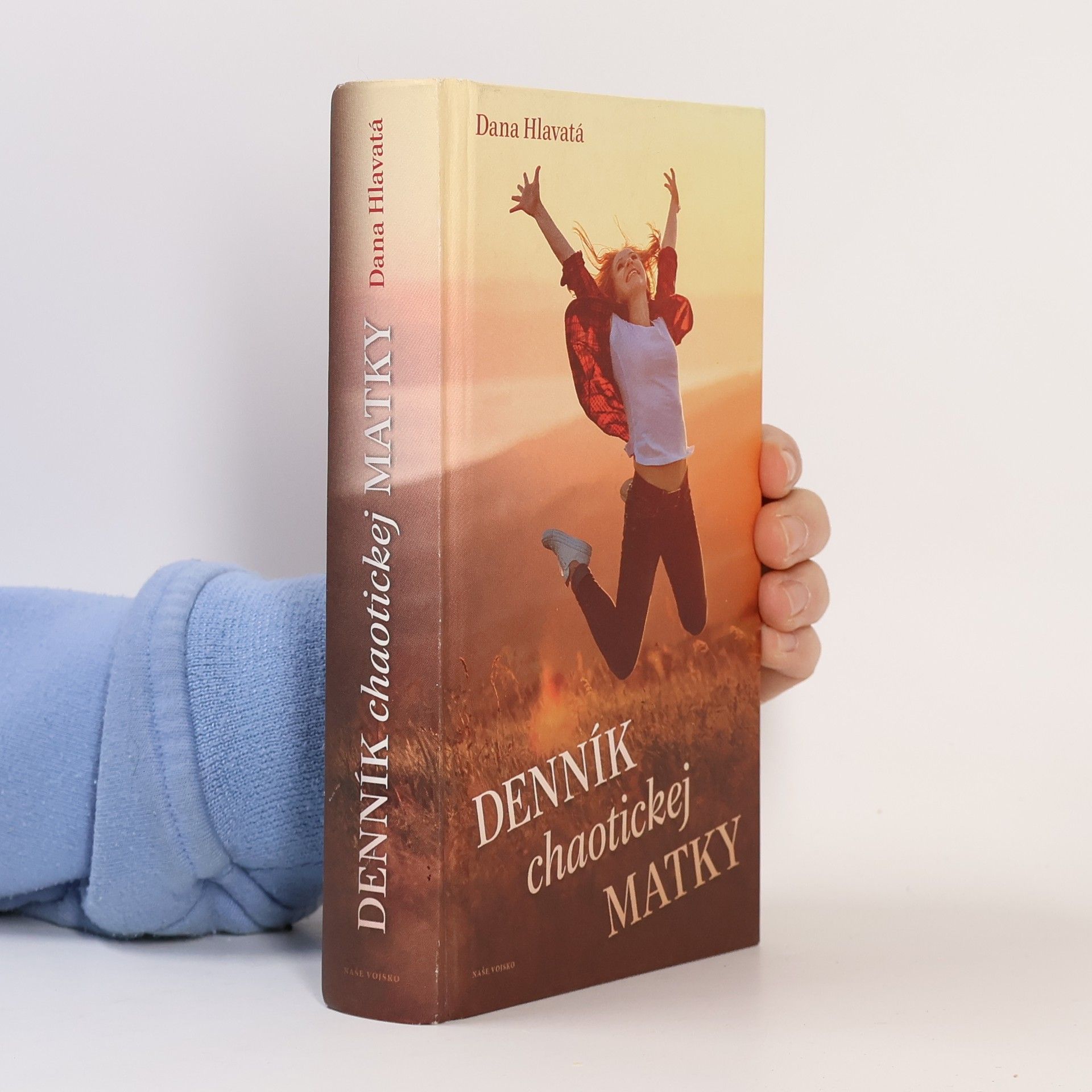 Dana Hlavatá Denník chaotickej matky