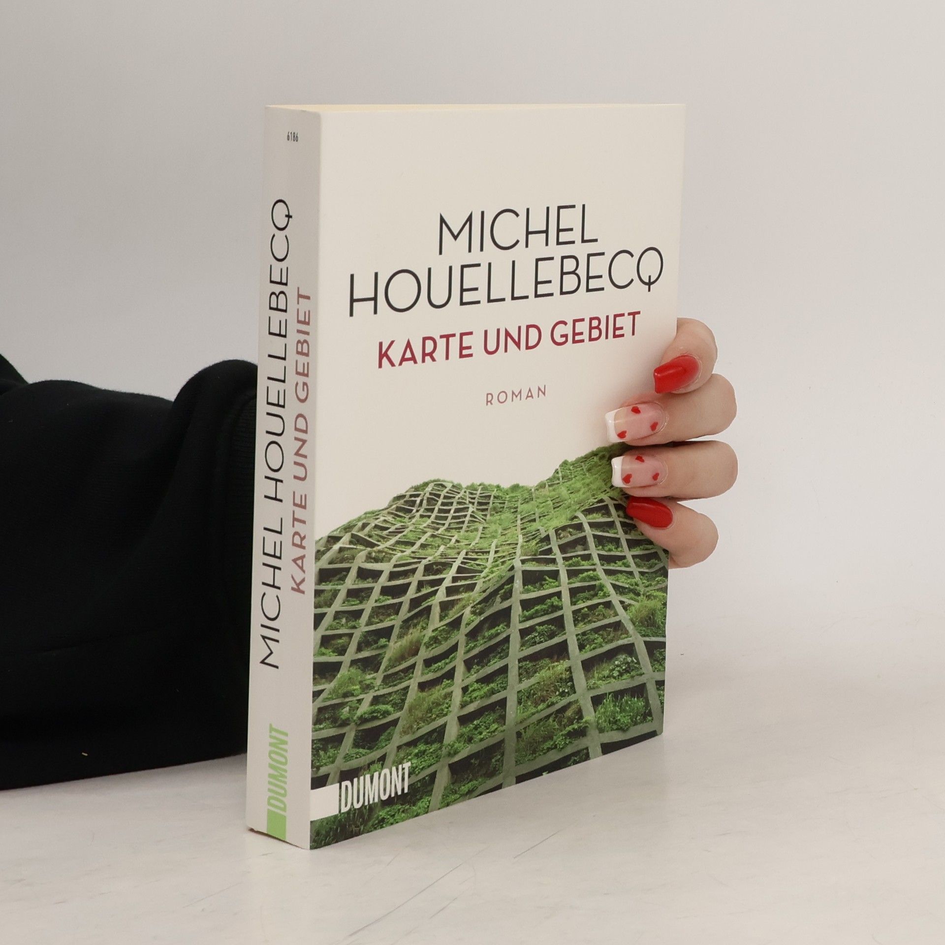 Michel Houellebecq Karte und Gebiet