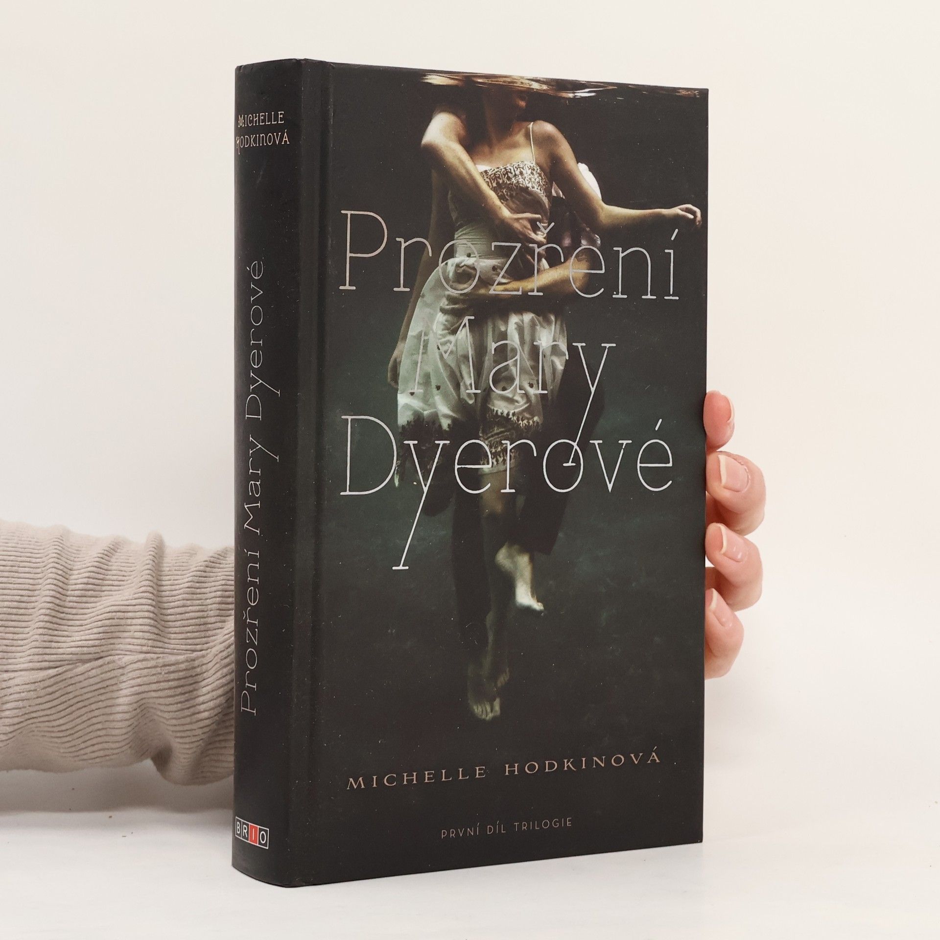 Michelle Hodkin Prozření Mary Dyerové