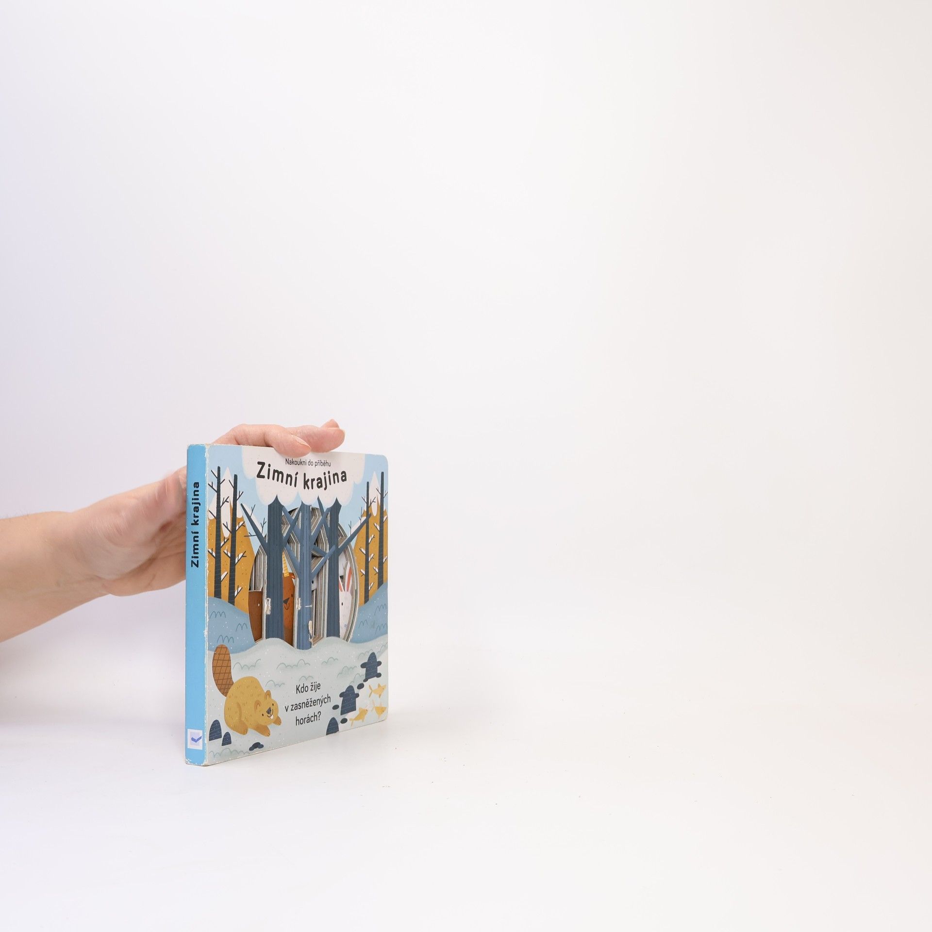 Anne Passchier Zimní krajina. Kdo žije v zasněžených horách?