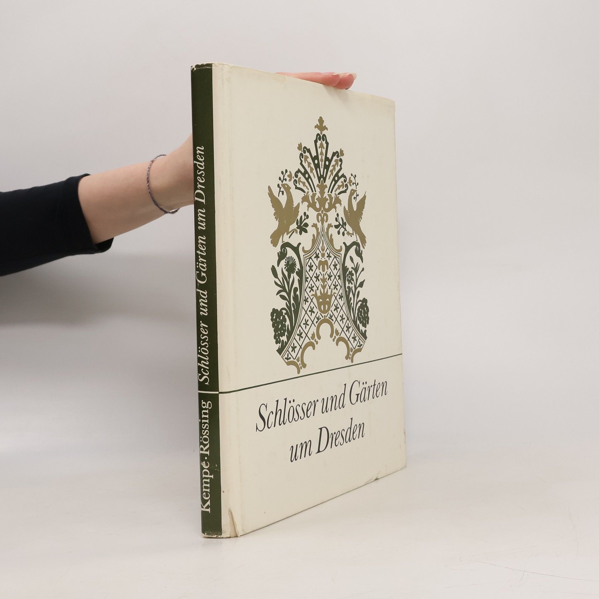 Kolektiv autorů Schlösser und Gärten um Dresden