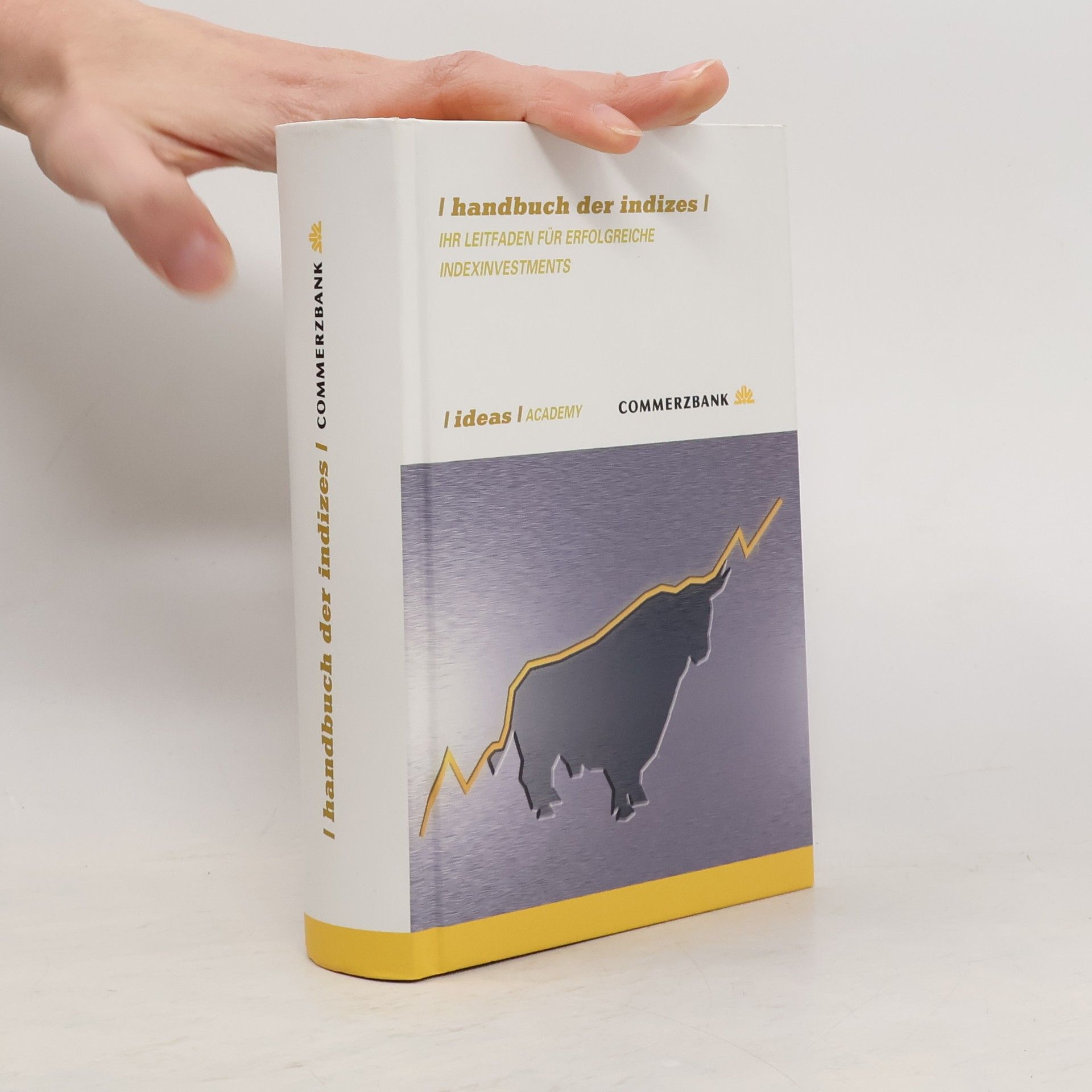 Autorenkollektiv Handbuch der Indizes