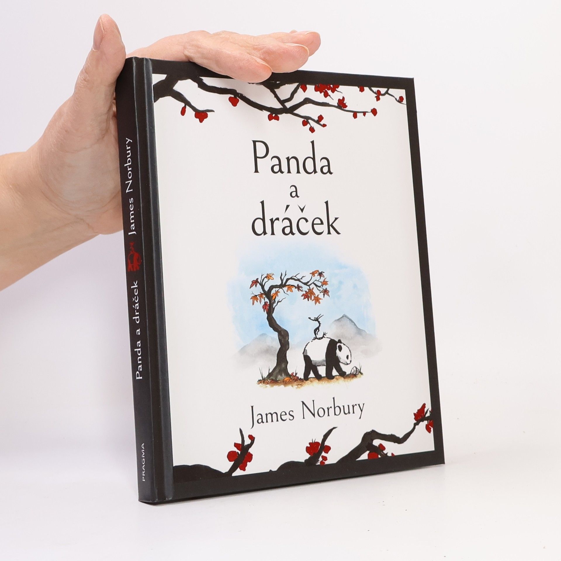 James Norbury Panda a dráček