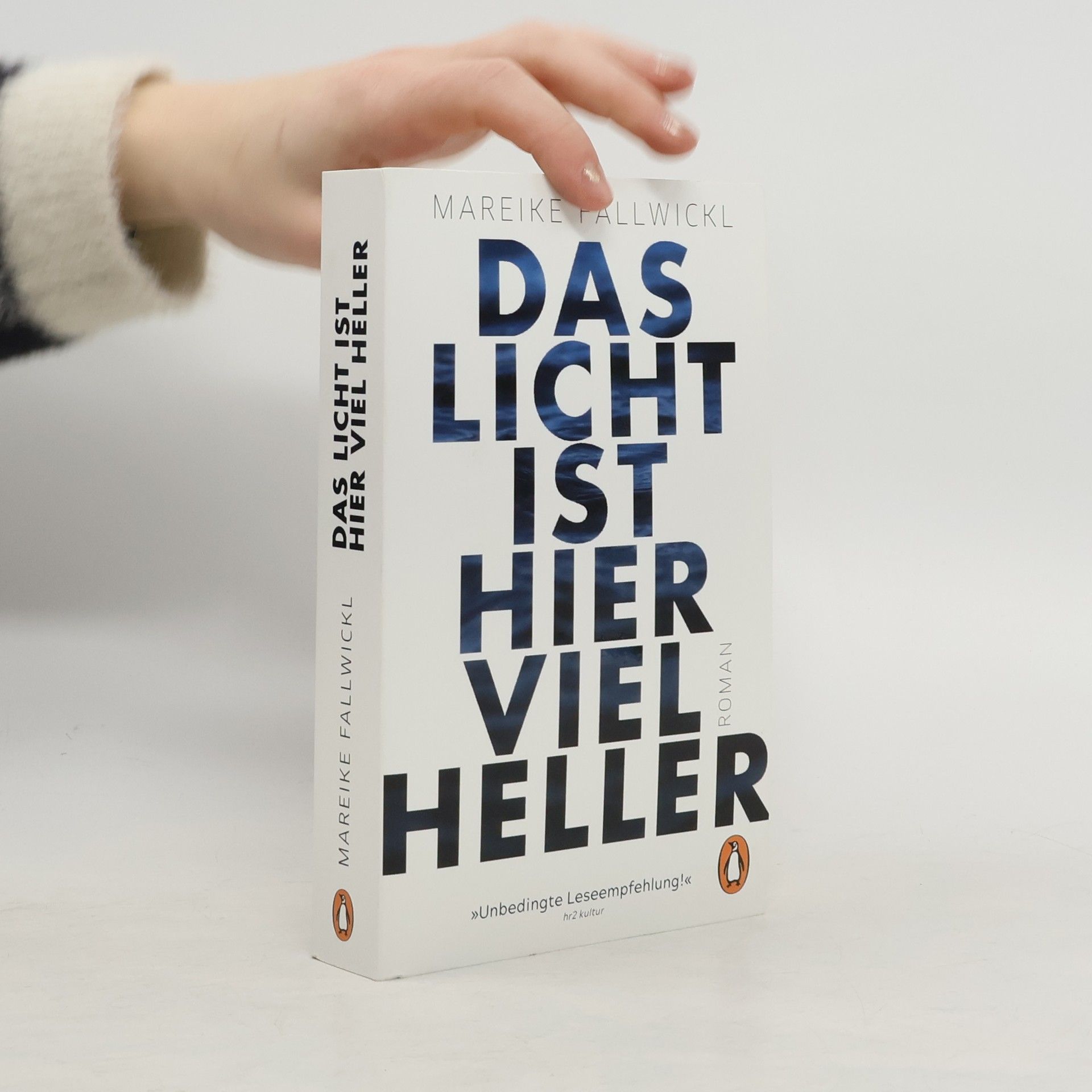 Mareike Fallwickl Das licht ist hier viel heller