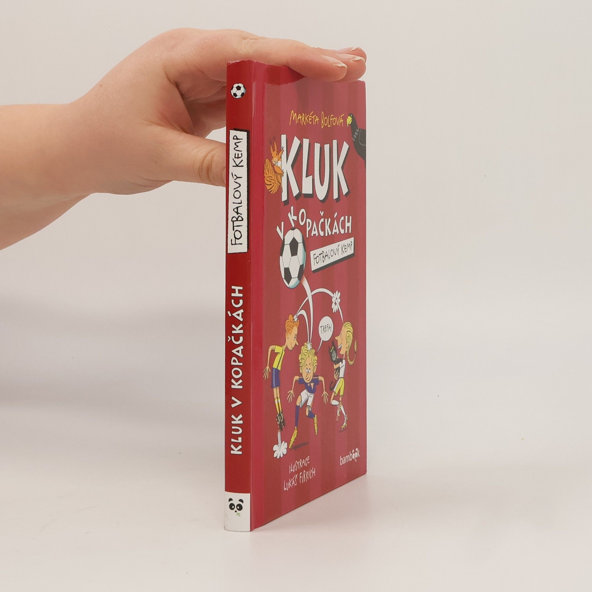 Lubomír Šebesta Kluk v kopačkách – Fotbalový kemp