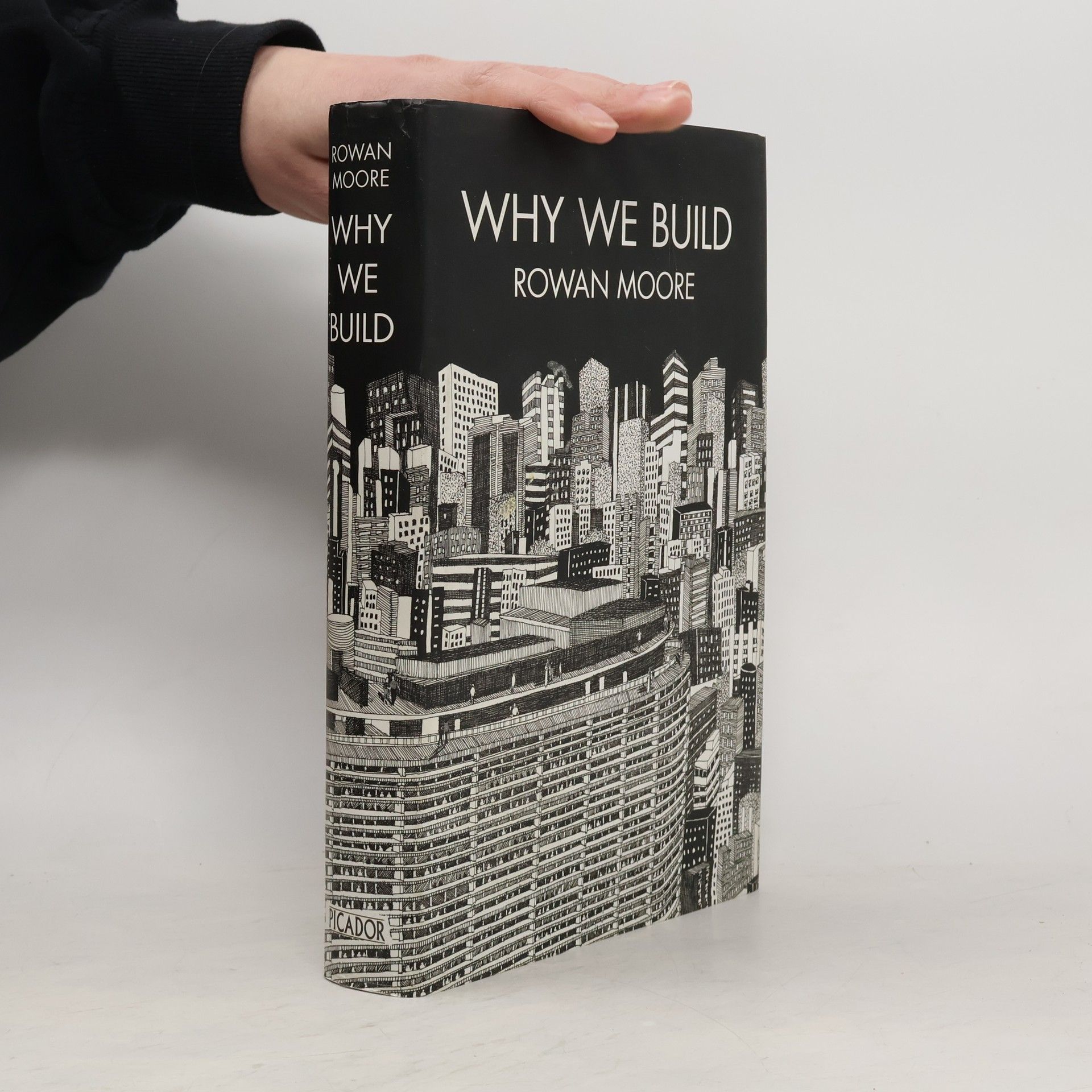 Rowan Moore Why We Build