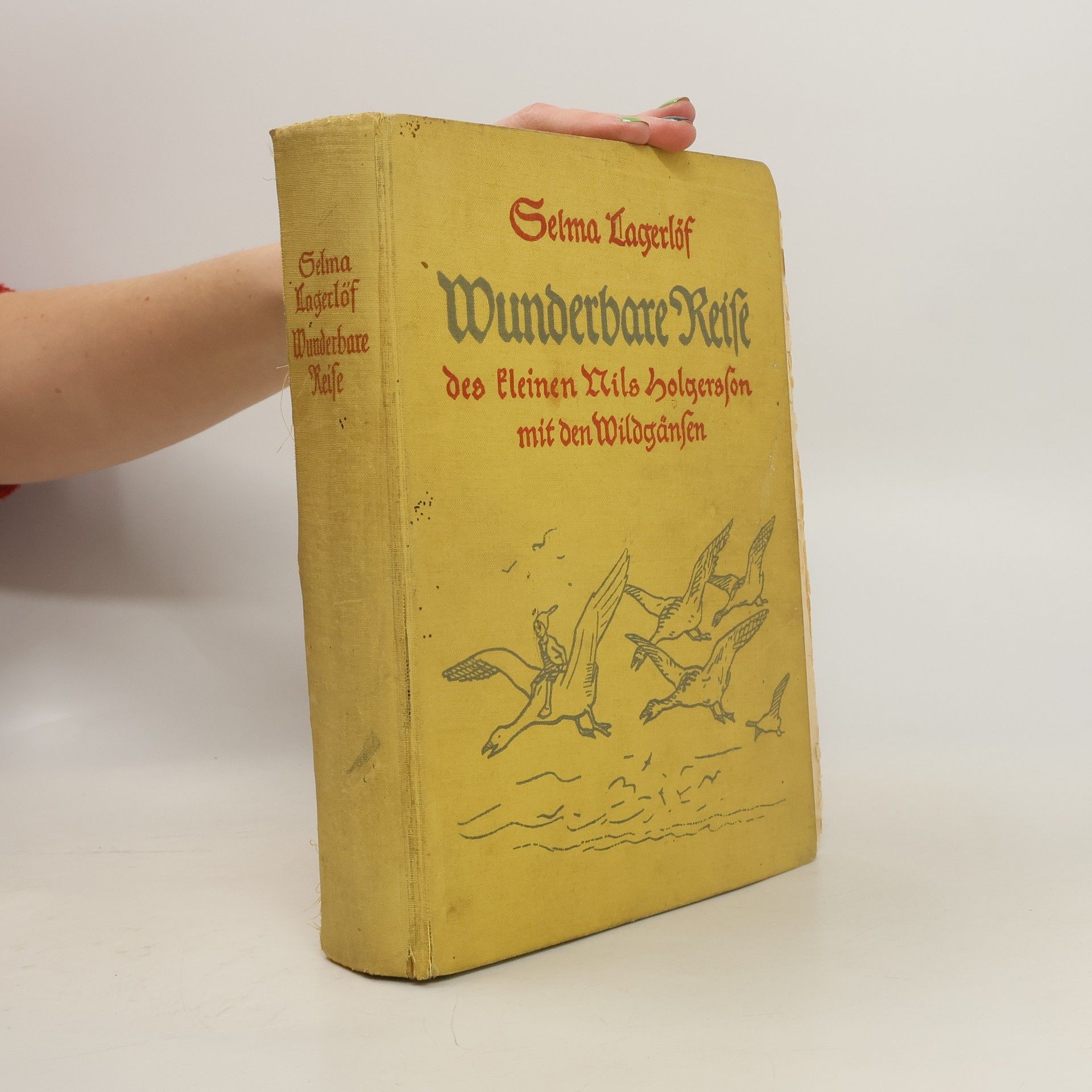 Selma Lagerlöf Wunderbare Reise. Des kleinen Nils Holgersson mit den Wildgänsen