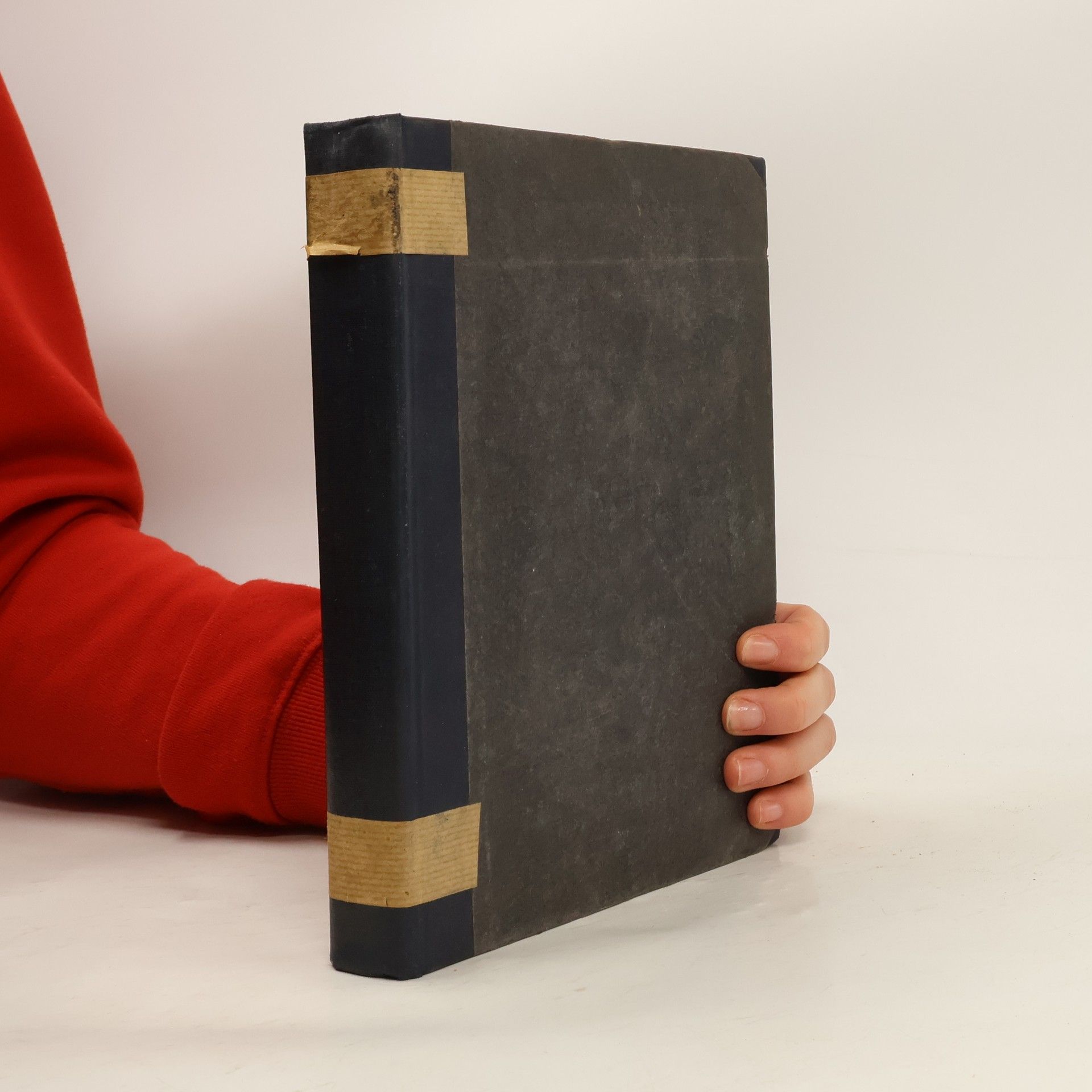 Thüringer Pestalozzivereinen Thüringen in Wort und Bild